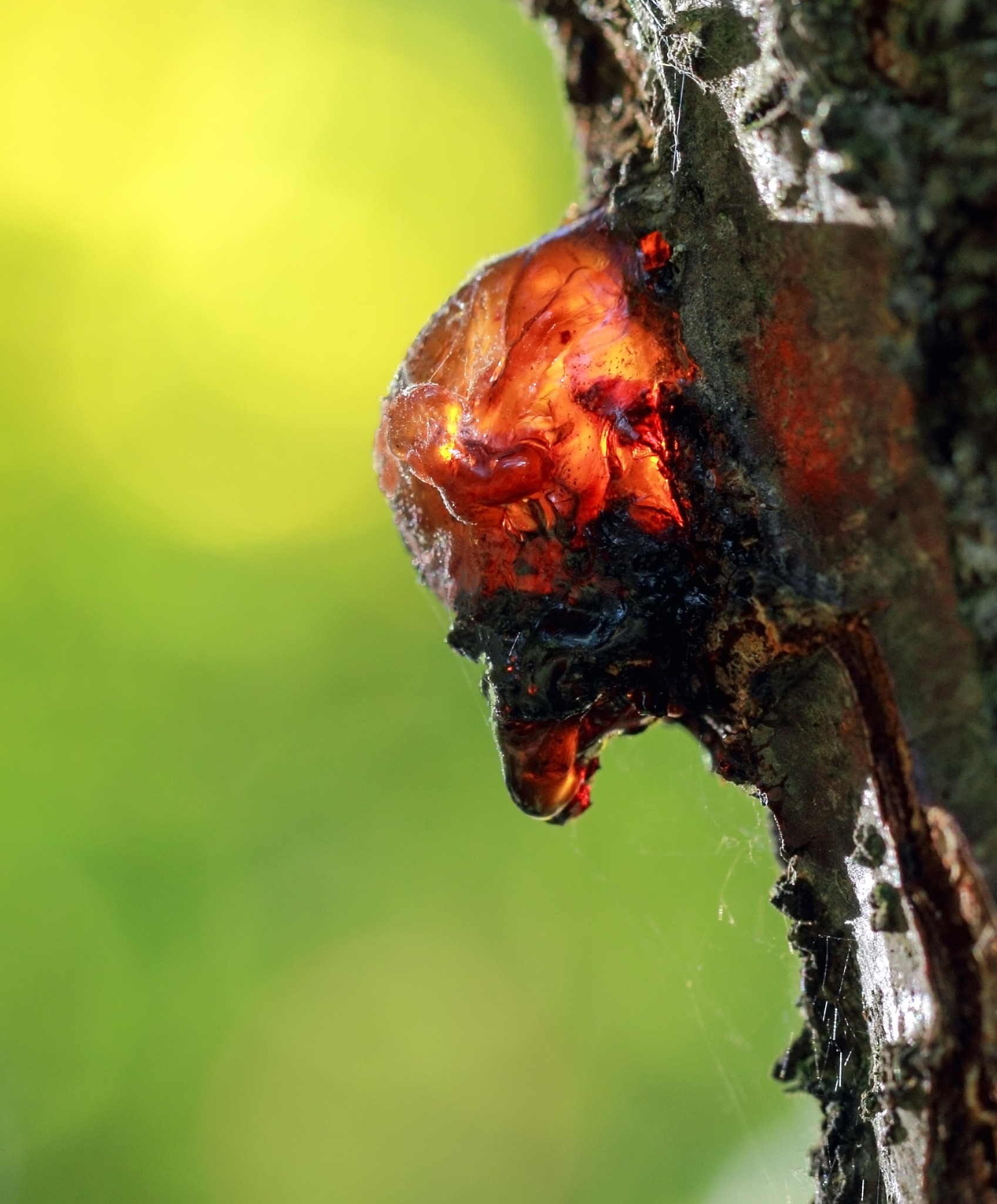 全氟化合物替代品：安全环保的解决方案