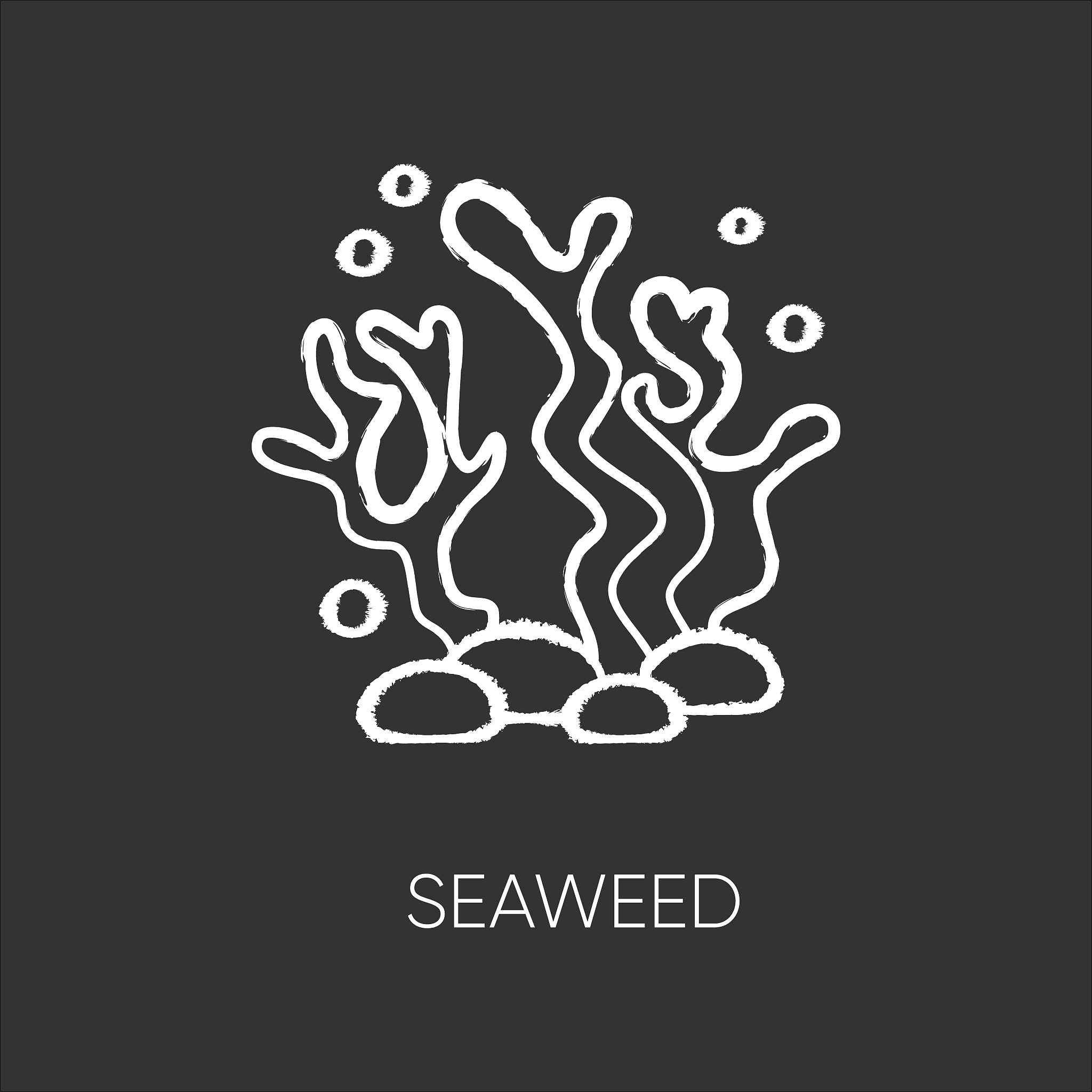 seaweed chalk white icon on black background. natural component.