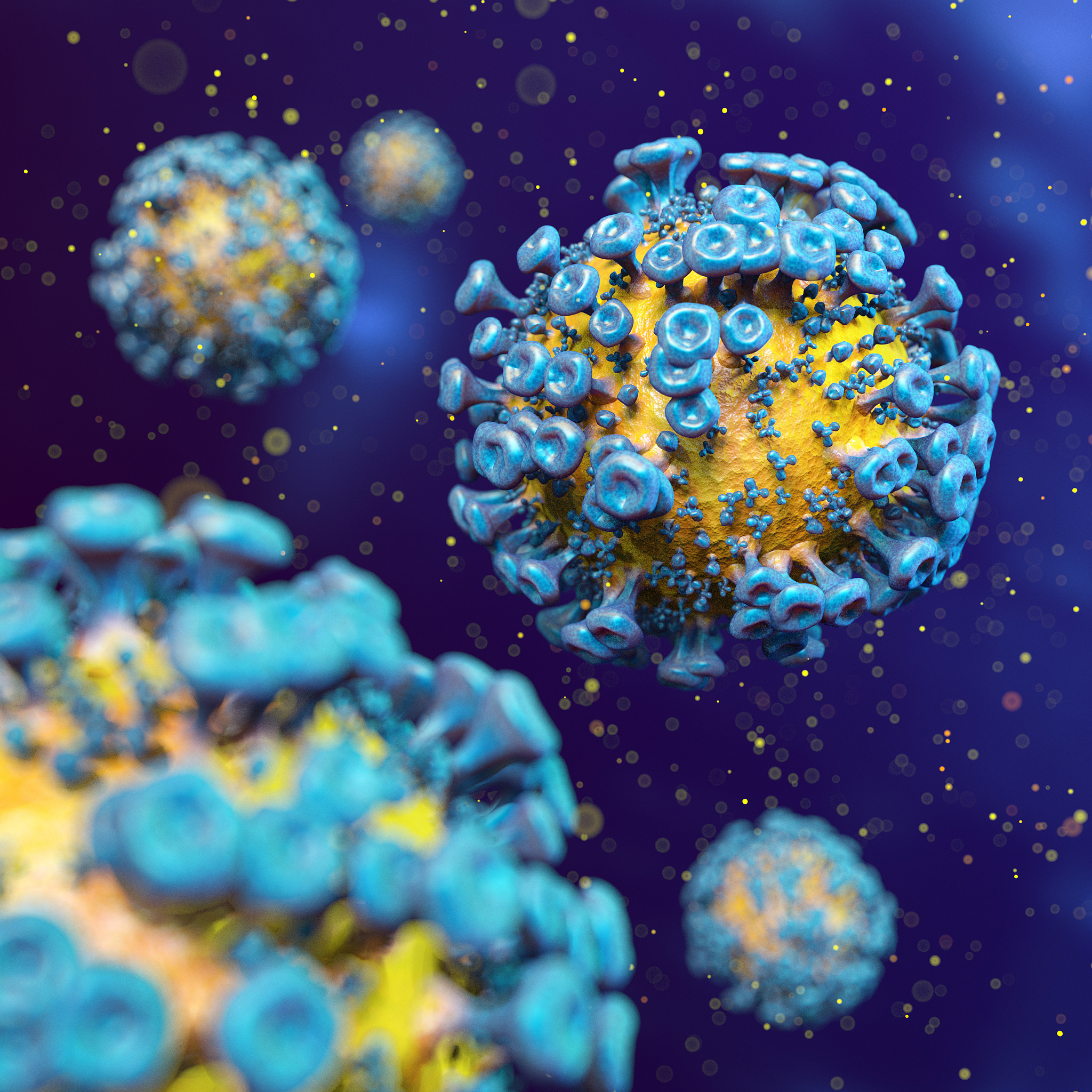 手部和手机触摸屏微生物菌群组成分析：实验报告