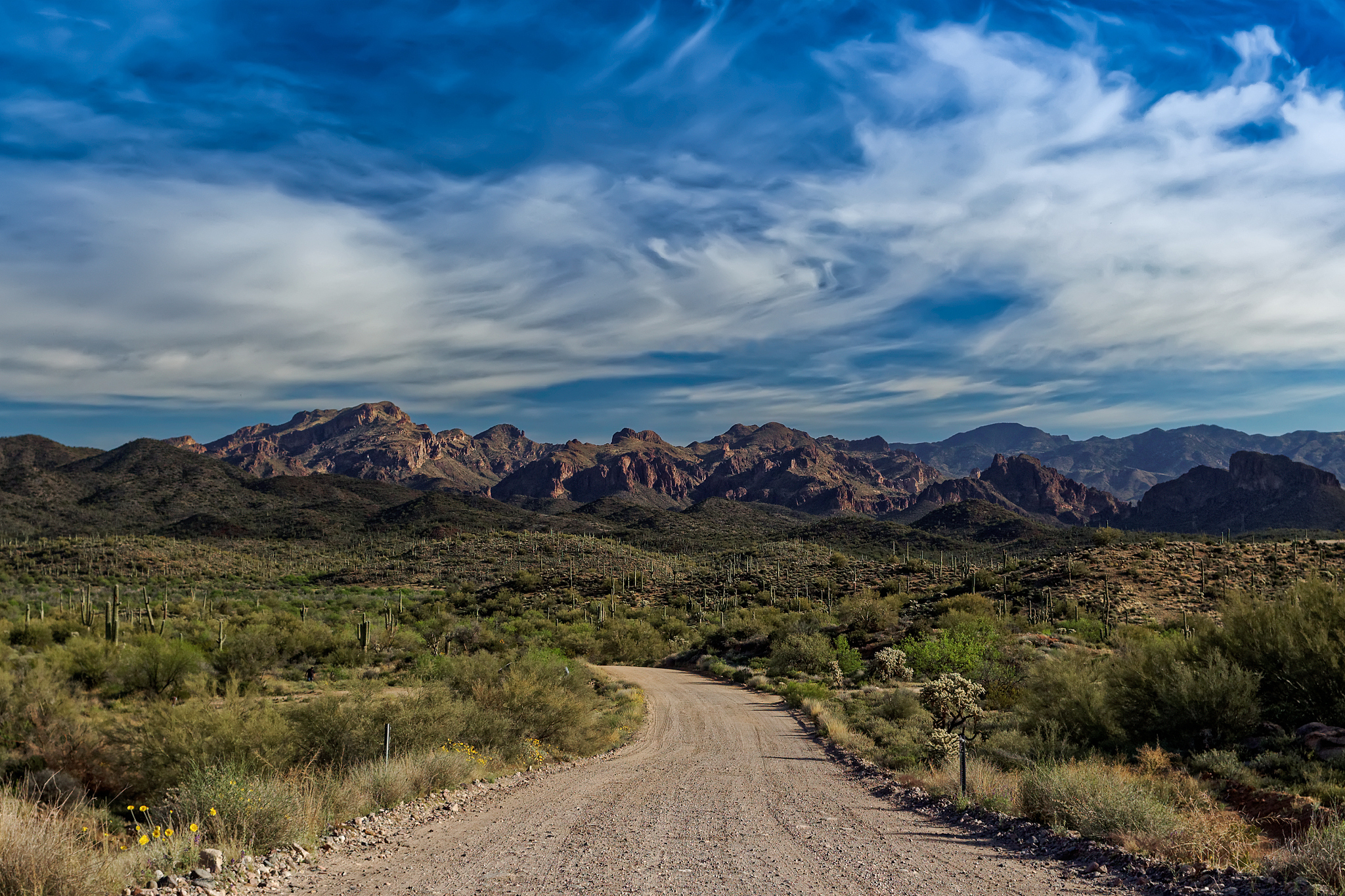 <strong>迷信</strong>山脉,佛罗伦萨,tonto national forest,仙人掌,萨挂诺仙人掌,索