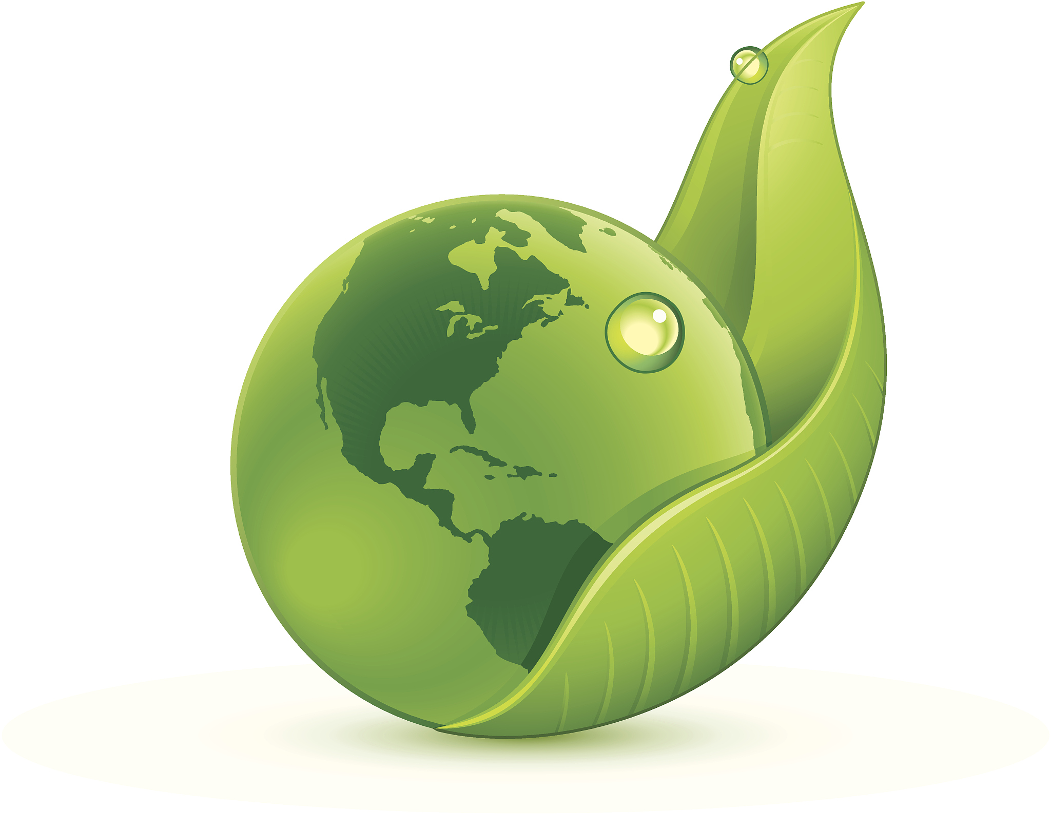 environmental conservation
