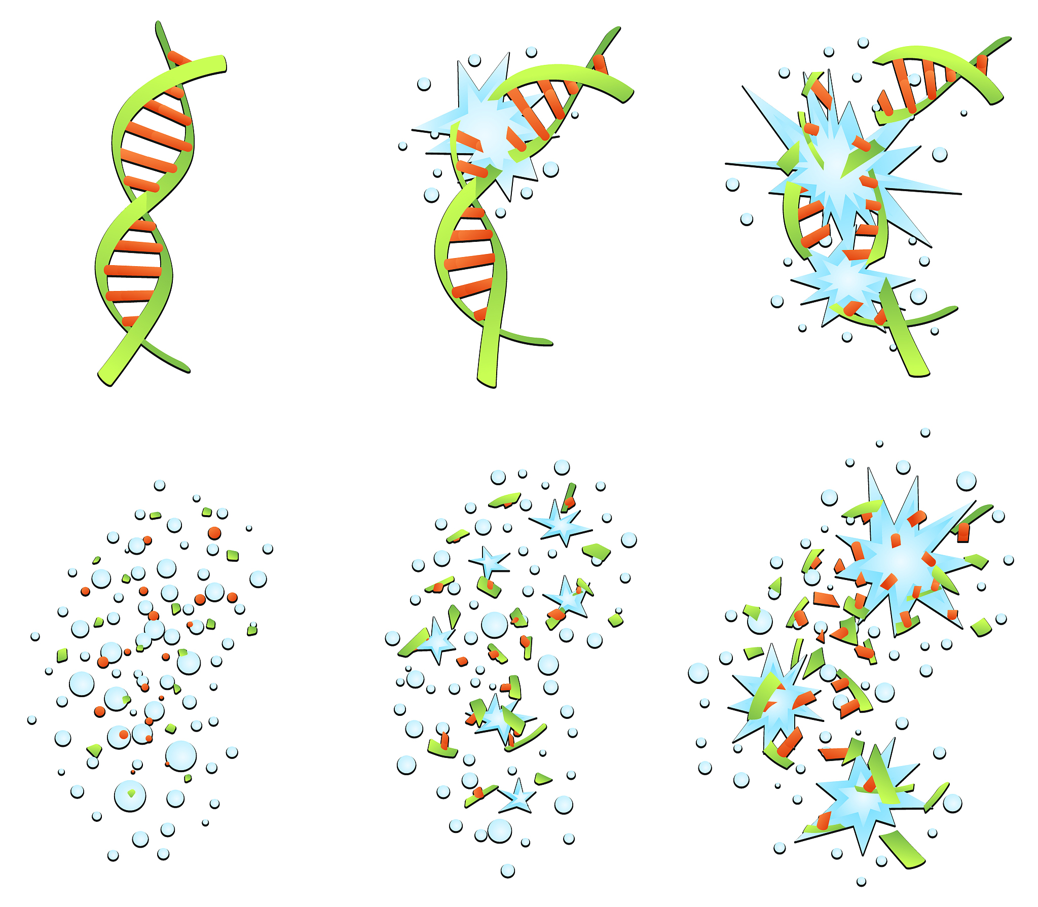 绘制同心圆DNA序列图：Geneious、ApE、SnapGene等工具推荐