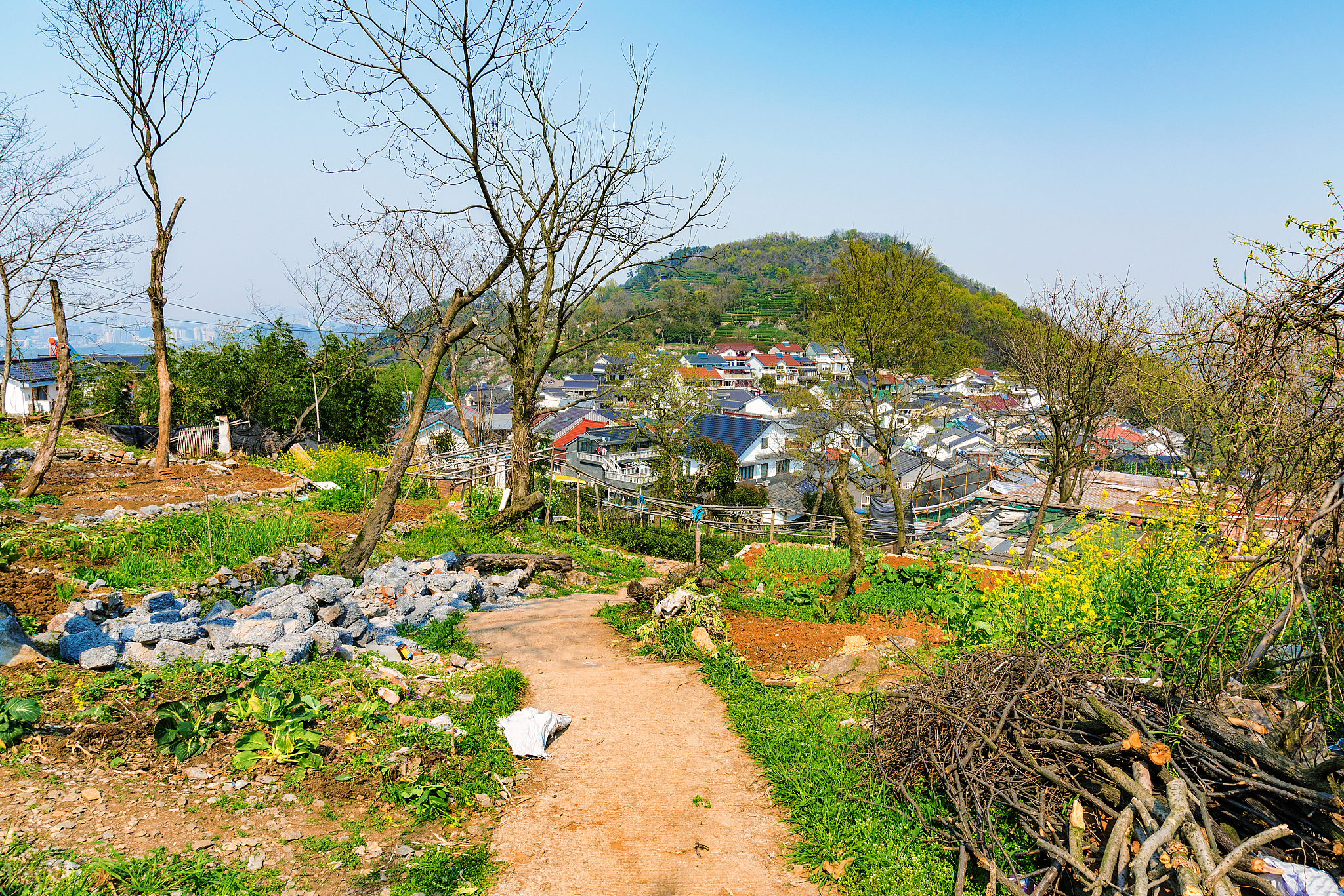 农村环境脏乱治理难题：现状分析与解决方案