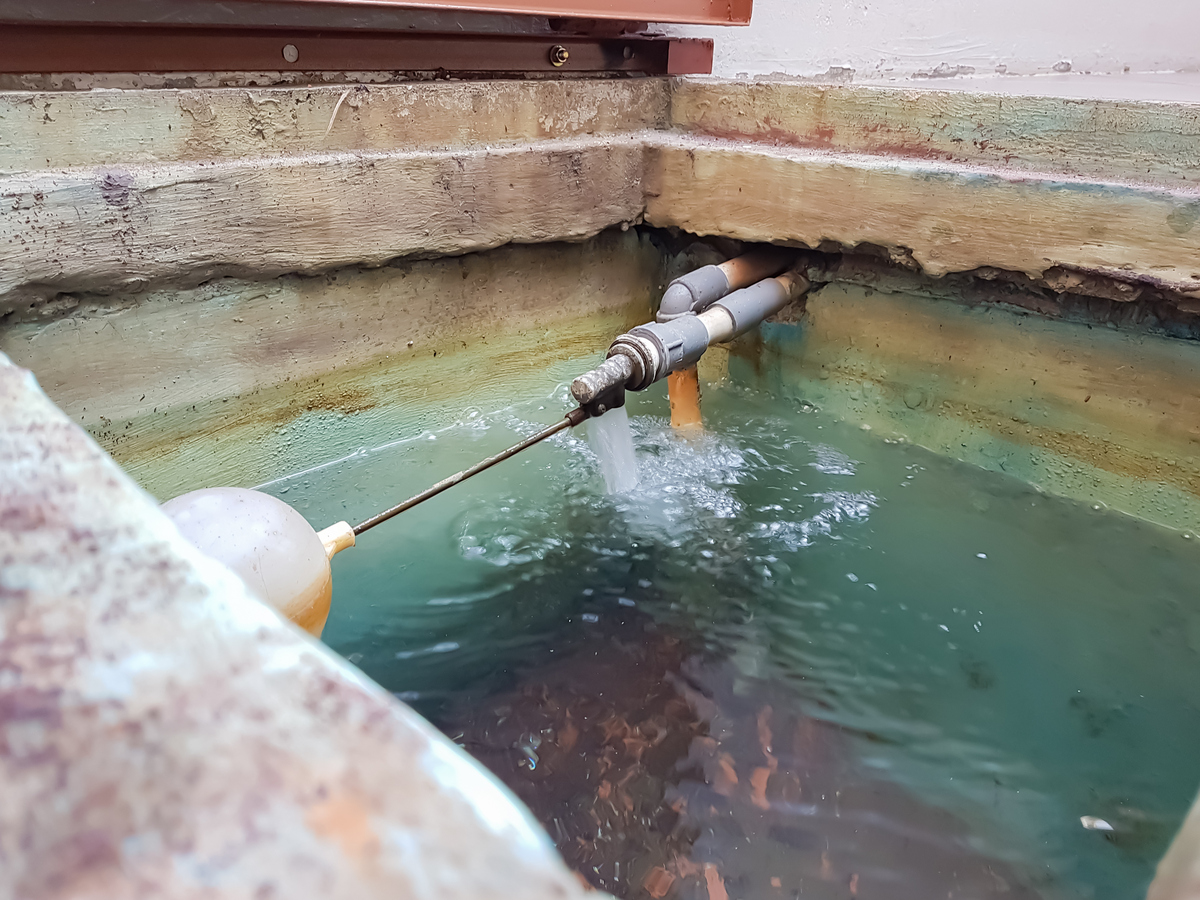 新水泥鱼池养鱼前脱碱：每吨水需多少冰醋酸？