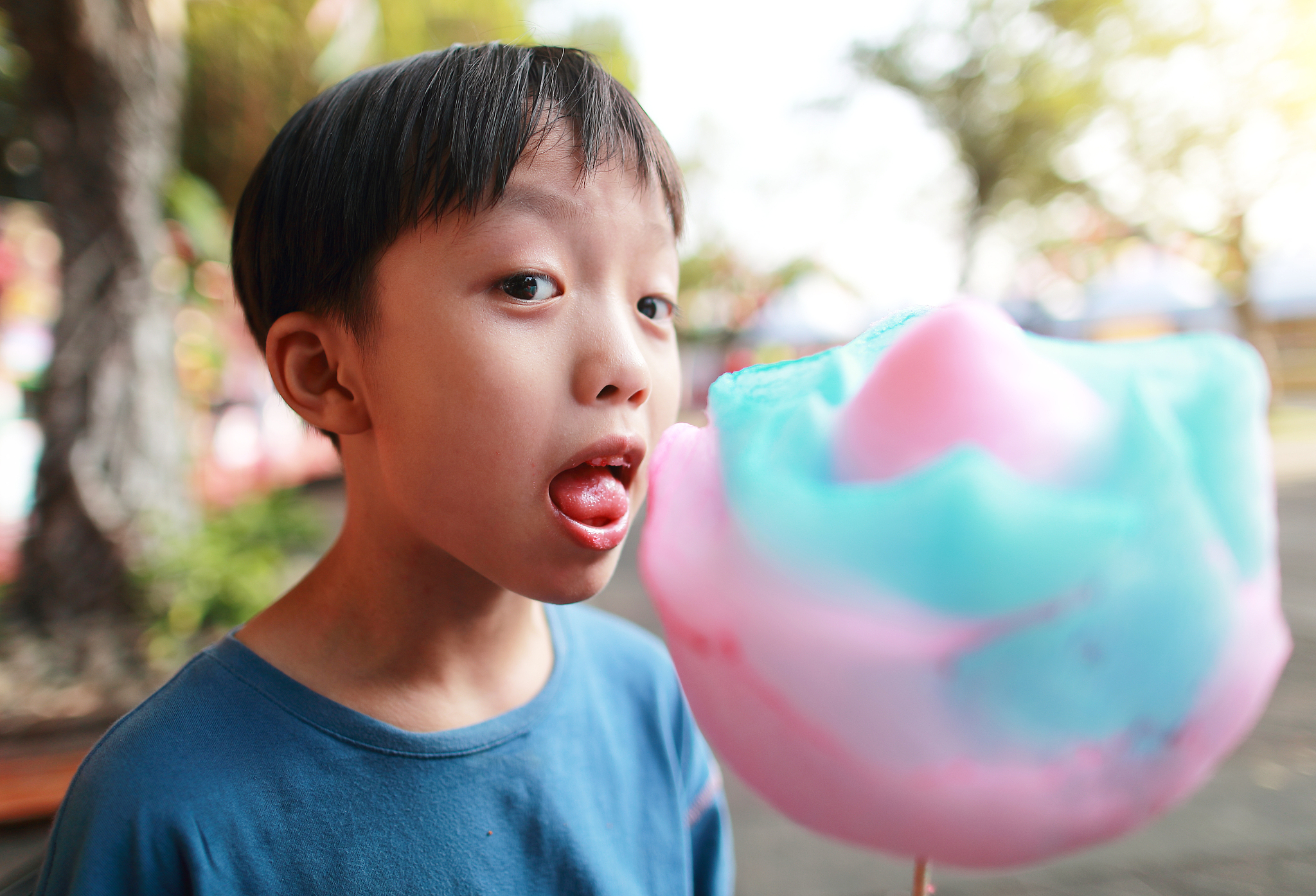 棉花糖的考验 写一篇300字小学作文