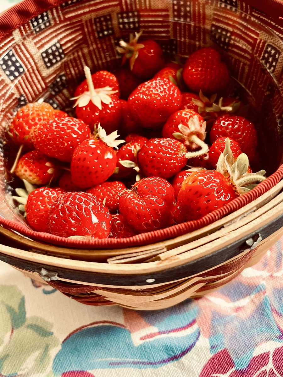 草莓果酱描述性分析评价性词汇、定义以及参照物