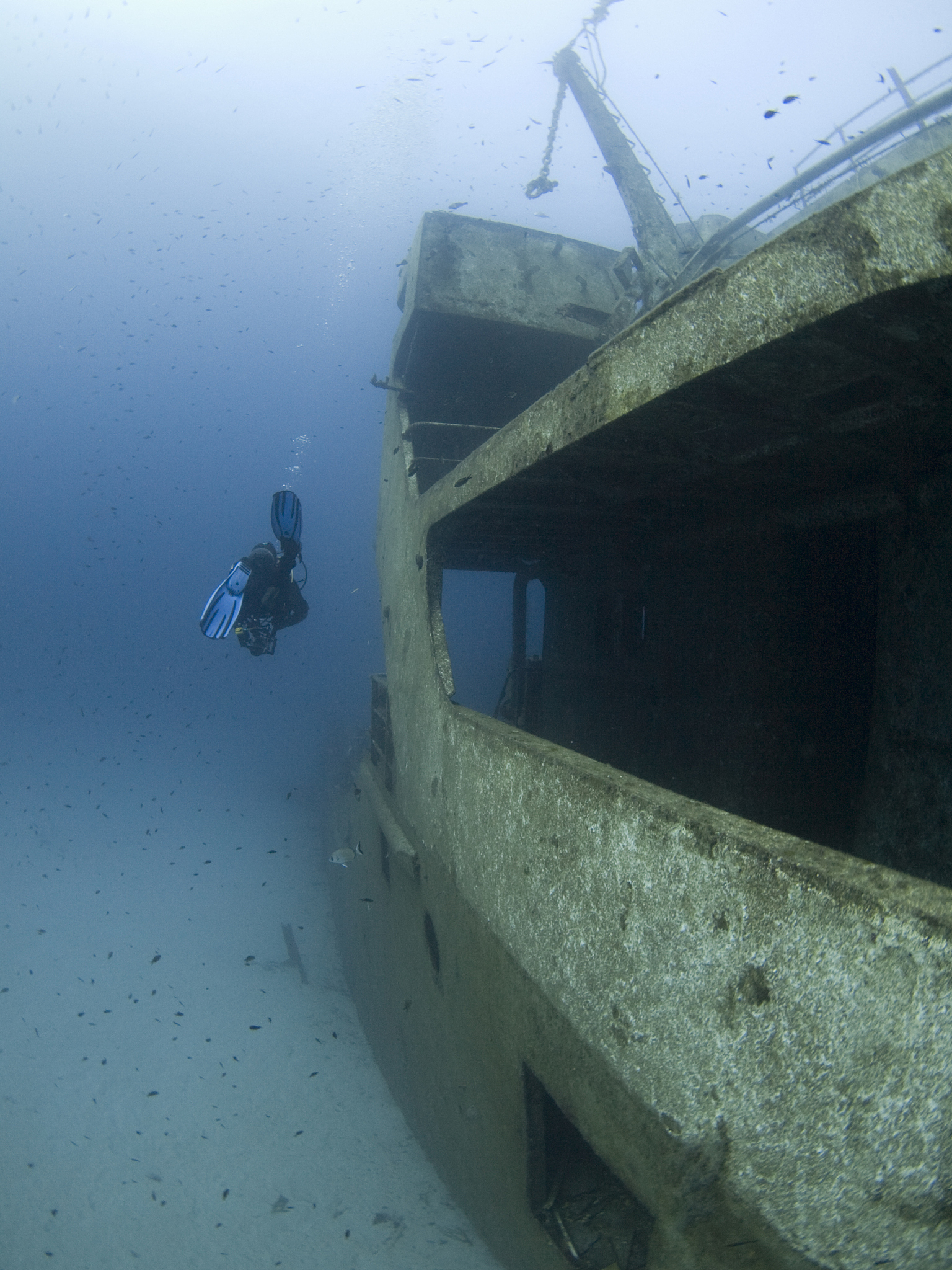 scuba diver on the port side of  um-el-faroud
