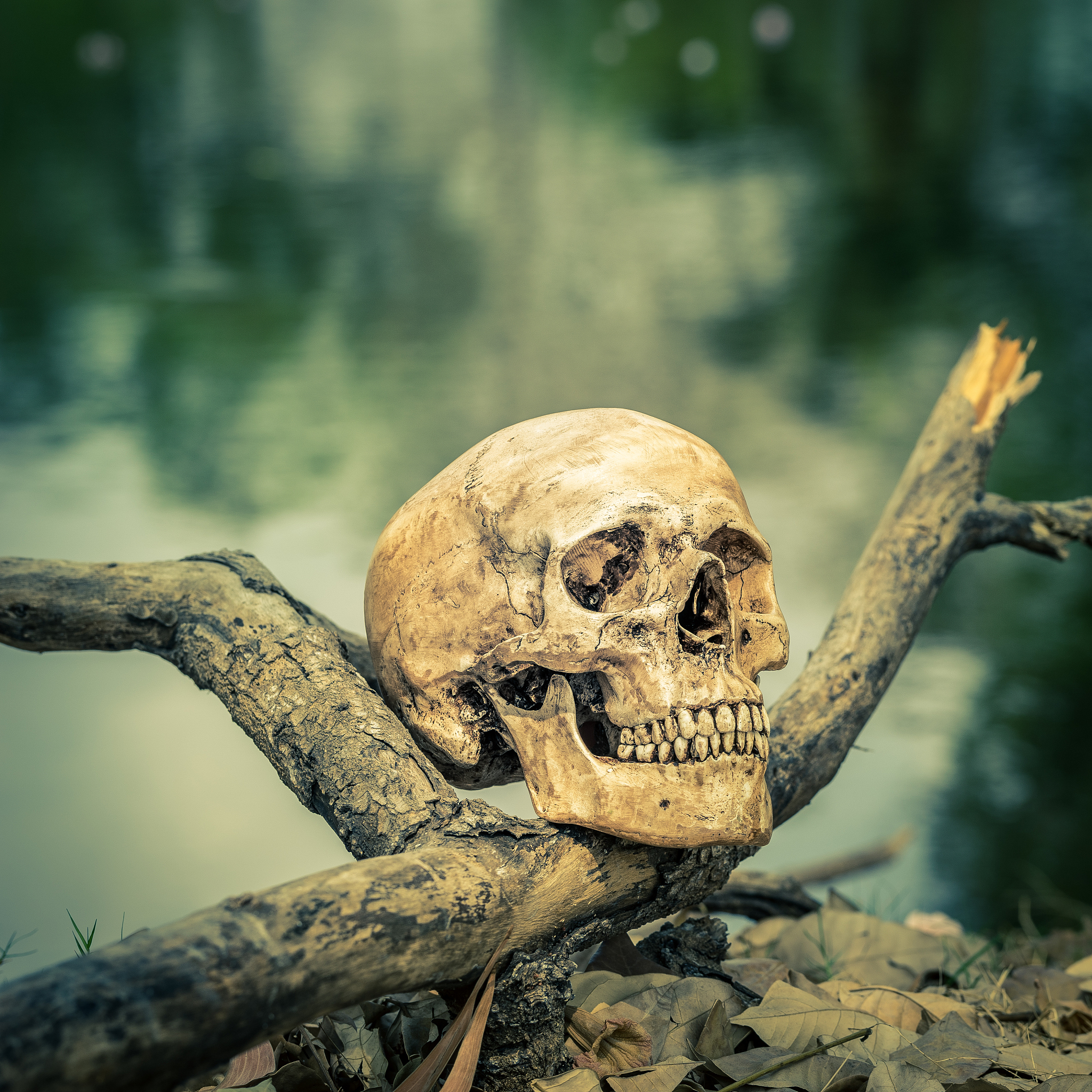 河池学院生物科学专业就业前景及就业方向分析