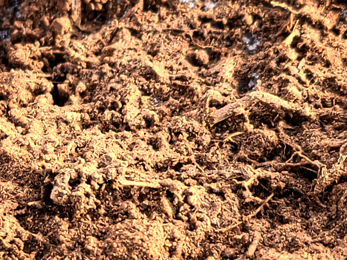 免耕保护性耕作技术能提高表层有机碳储量的原因帮我用100字详细描述