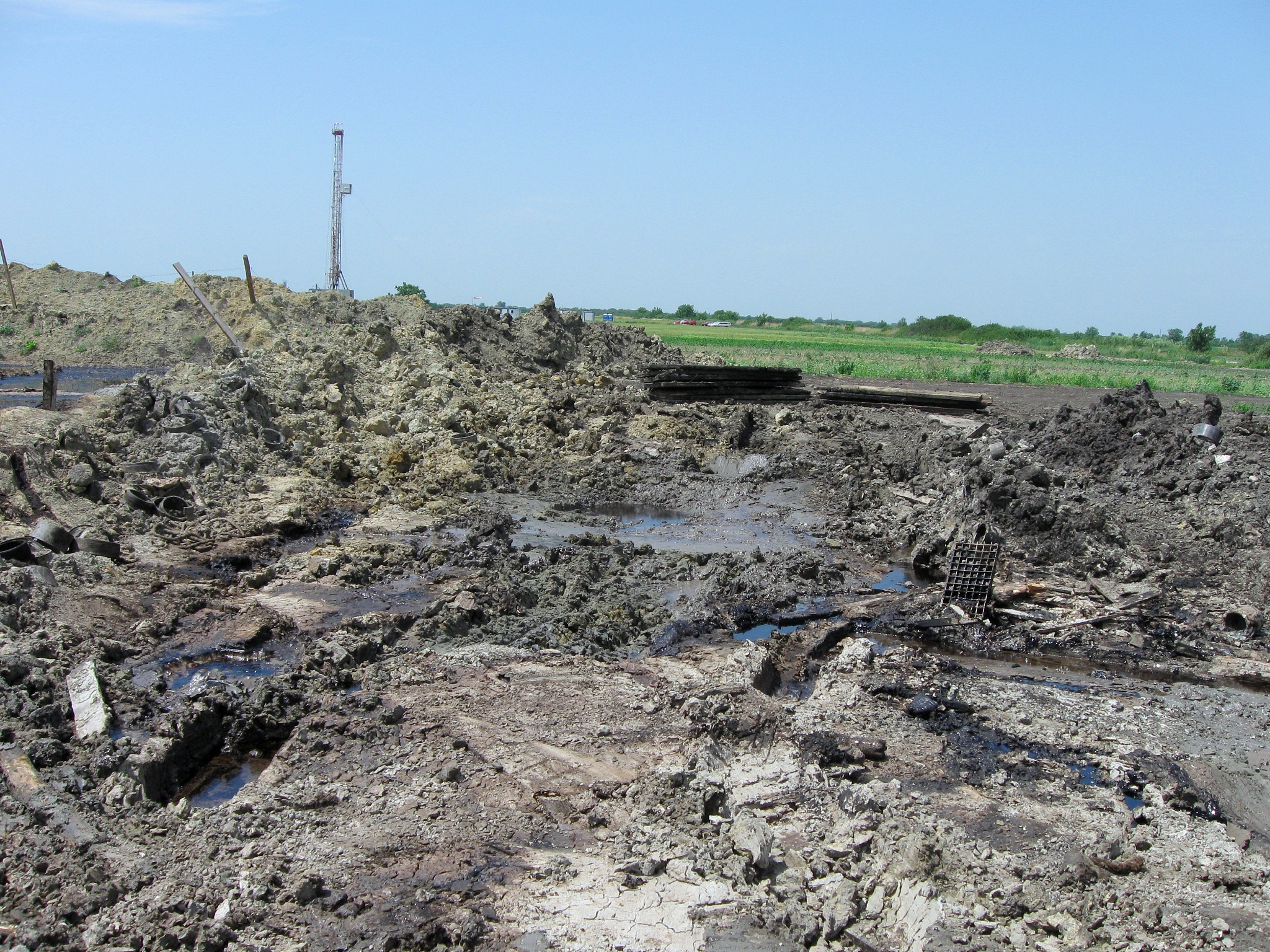 石油煤炭开采导致荒漠化？植物需要这些资源吗？