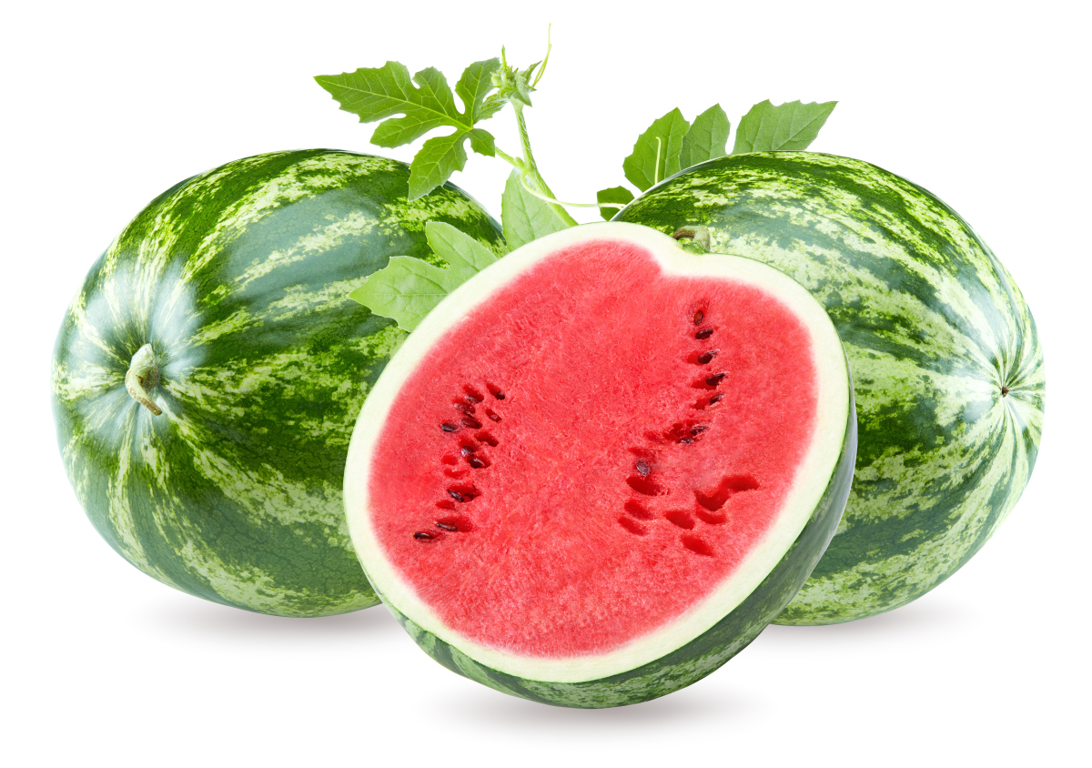 西瓜分哪些品种200字左右详细描述一下