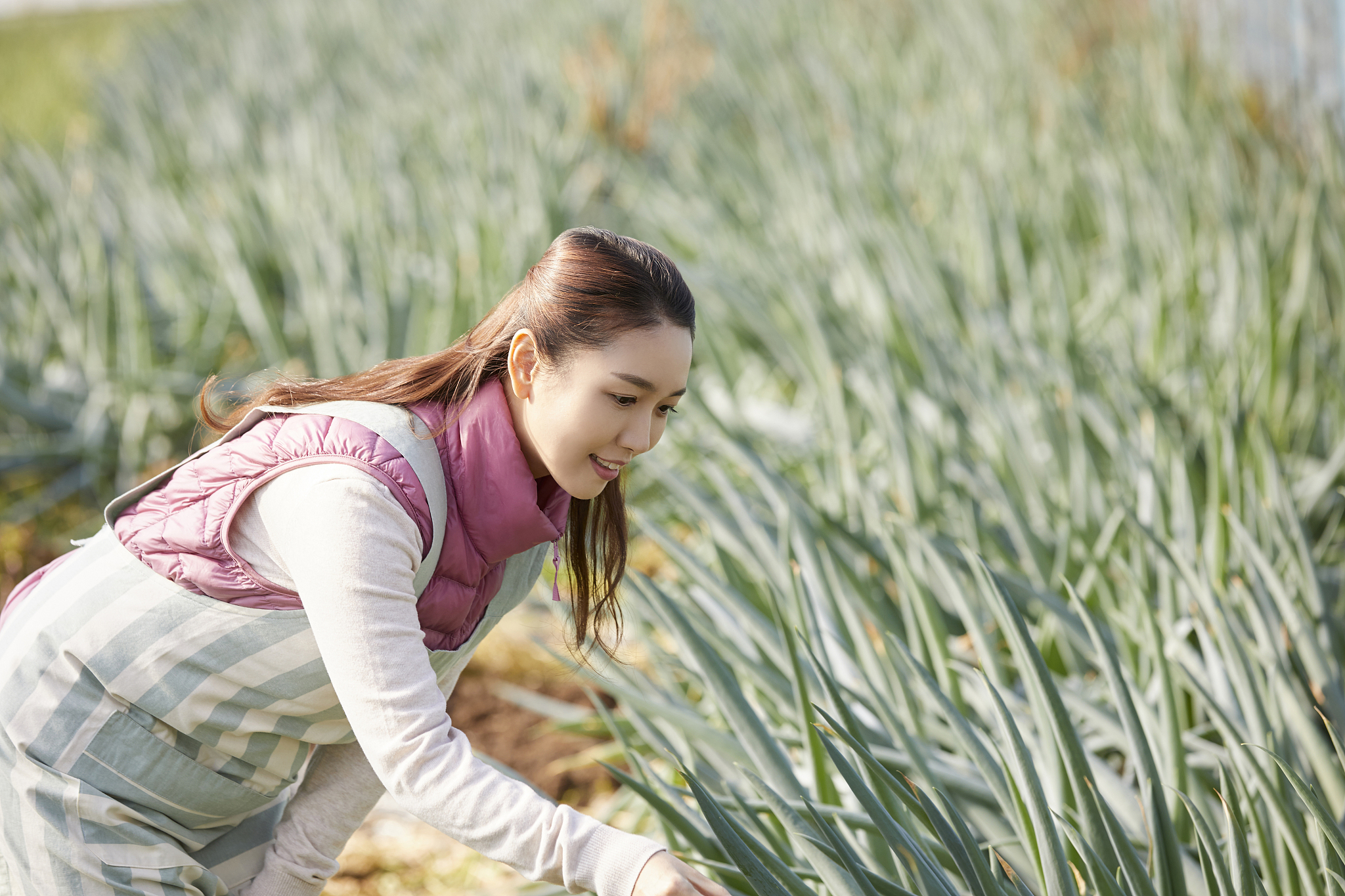 成都农业科技职业技术学院资助政策：助力农业人才发展
