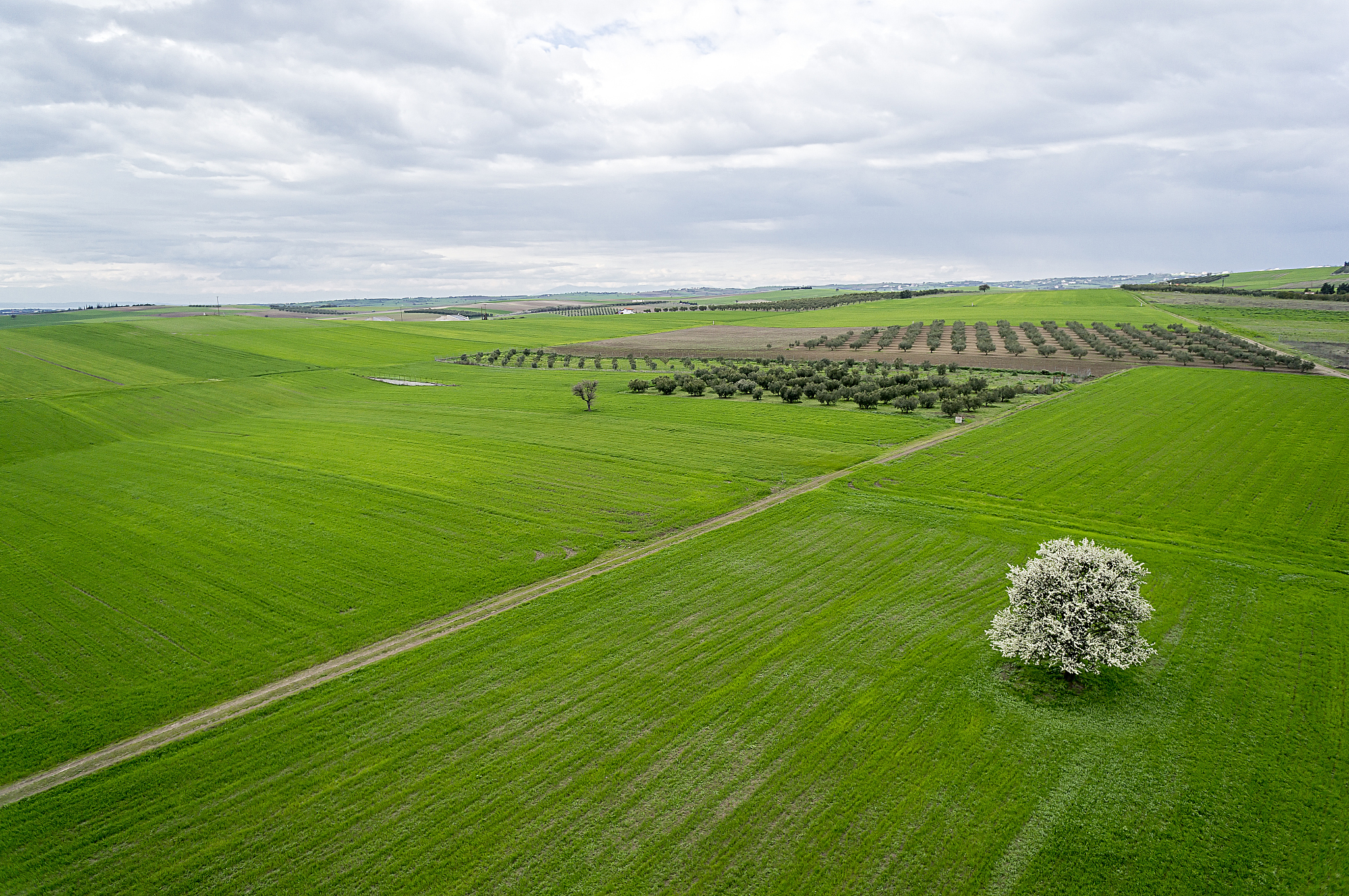 请把下面这段话降重：适度的放牧可以改善草原土壤质量、提高草原生物的多样性。一方面由于家畜的采食践踏造成枯落物分解充分进入土壤从而提高土壤有机质和氮和钾含量减少土壤的板结。另一方面放牧能够降低表层土壤湿度、PH一定程度增加土壤容重。土壤氮、磷、钾的含量及比例是土壤有机质组成和质量程度的重要指标。