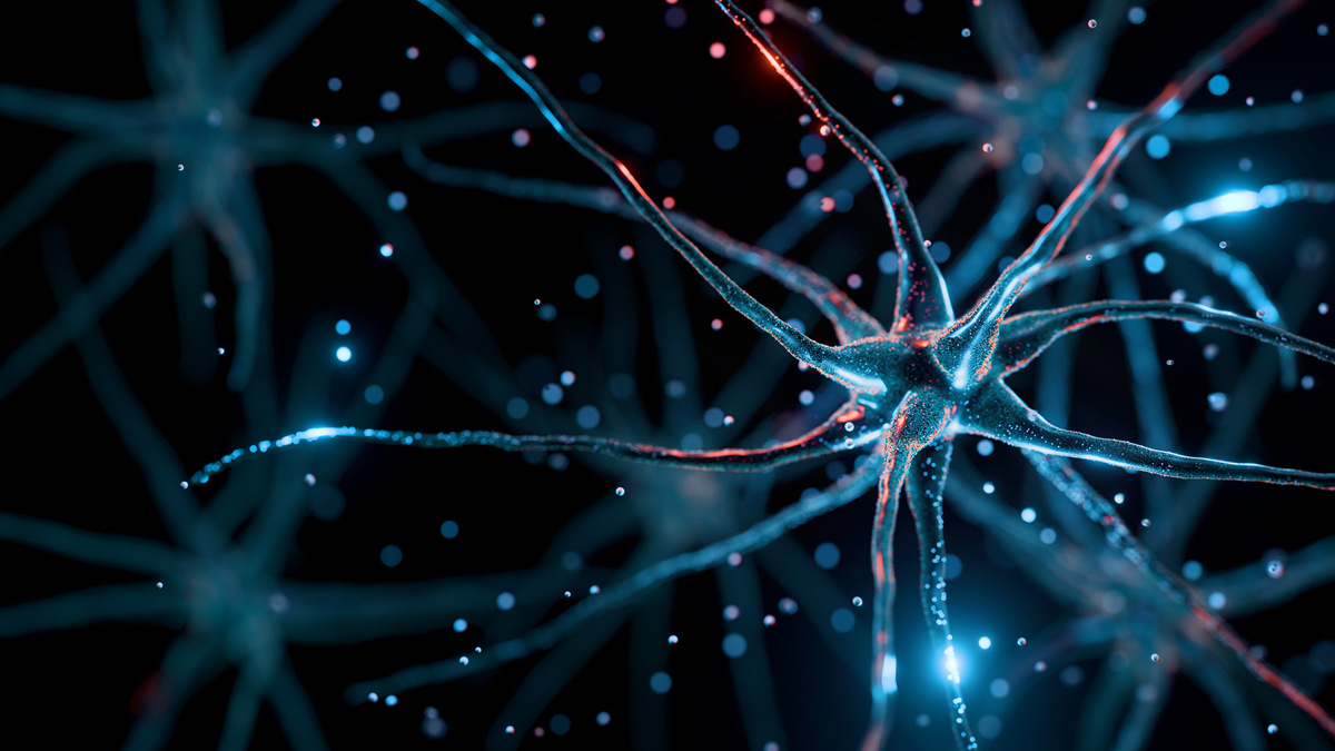 MOLECULAR PSYCHIATRY 期刊：精神疾病和神经科学研究前沿