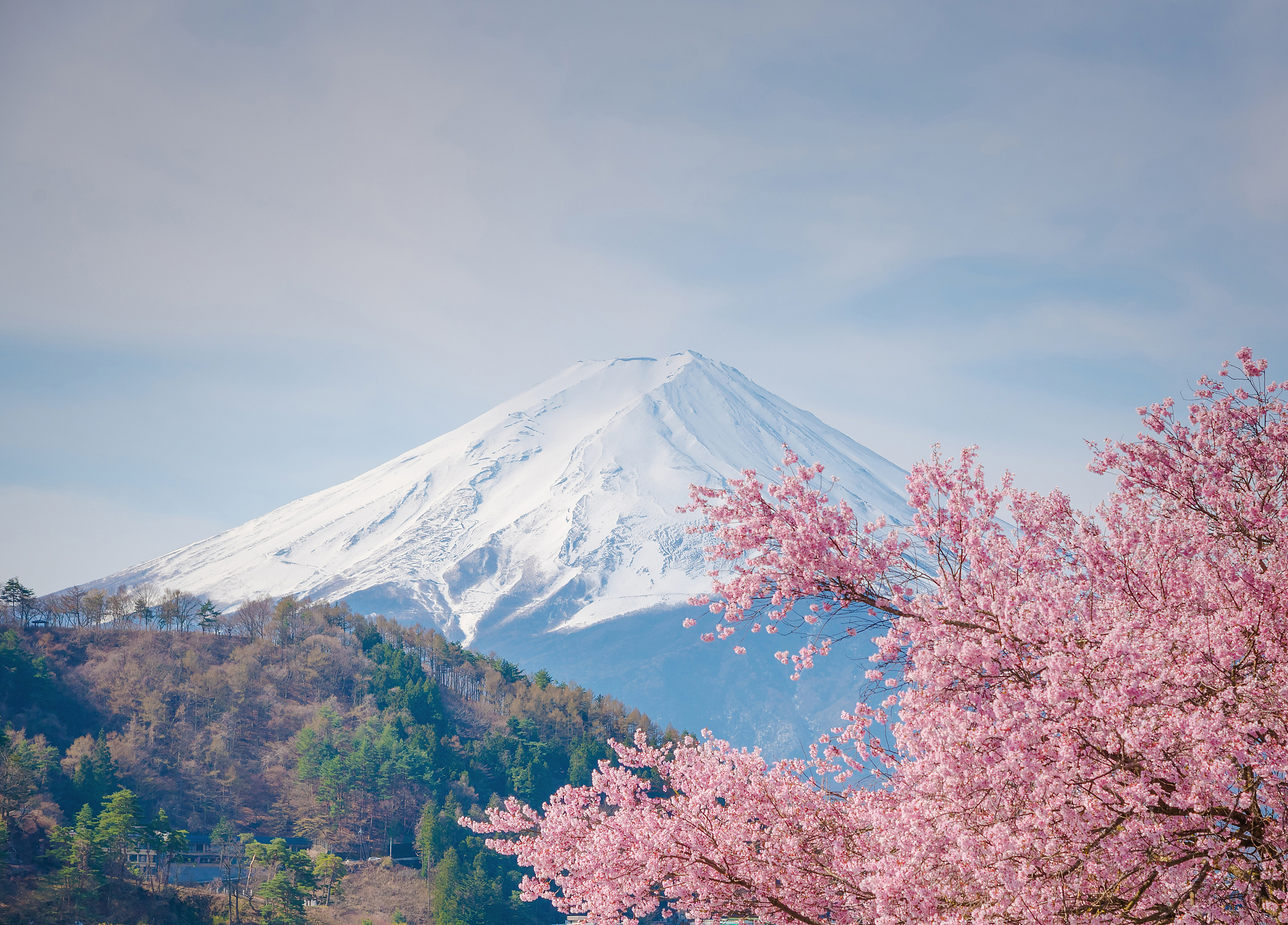 帮我制定一个日本富士山休闲旅游计划