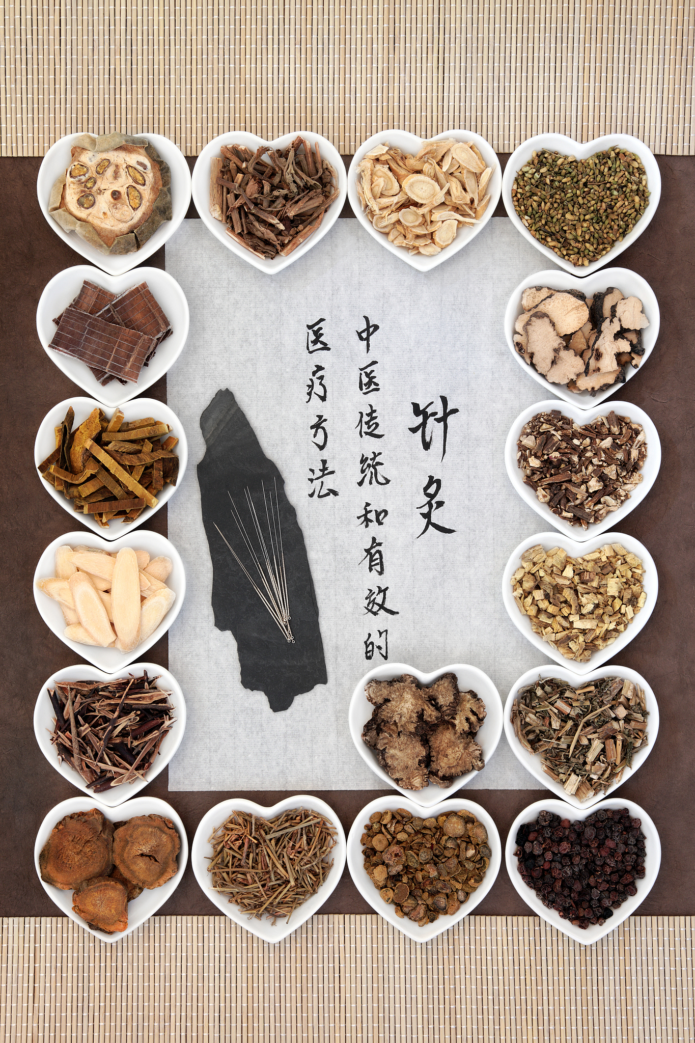 山西中医学院中医学专业介绍 - 培养中医临床人才，传承中医精髓