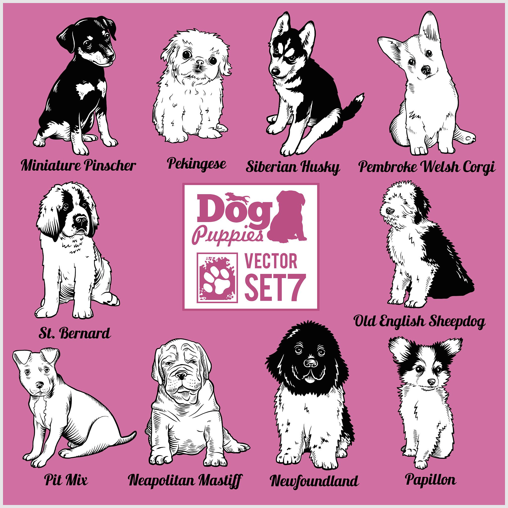correct the sentence Well in general you will find either a dog cat which is the most common pets Some people also have birds as their pets