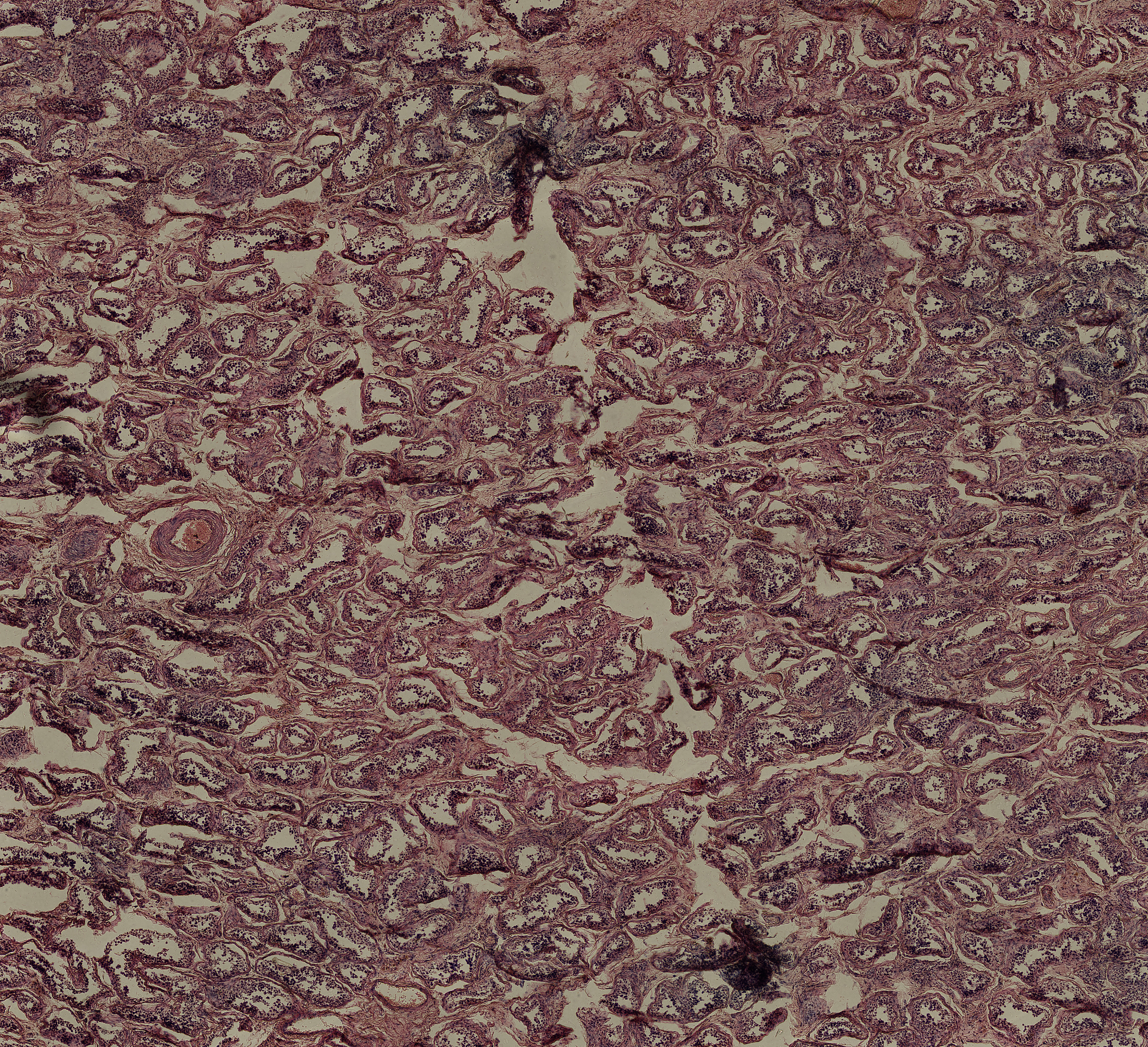 沧州卫校中专升大专考试内容：医学基础知识必不可少