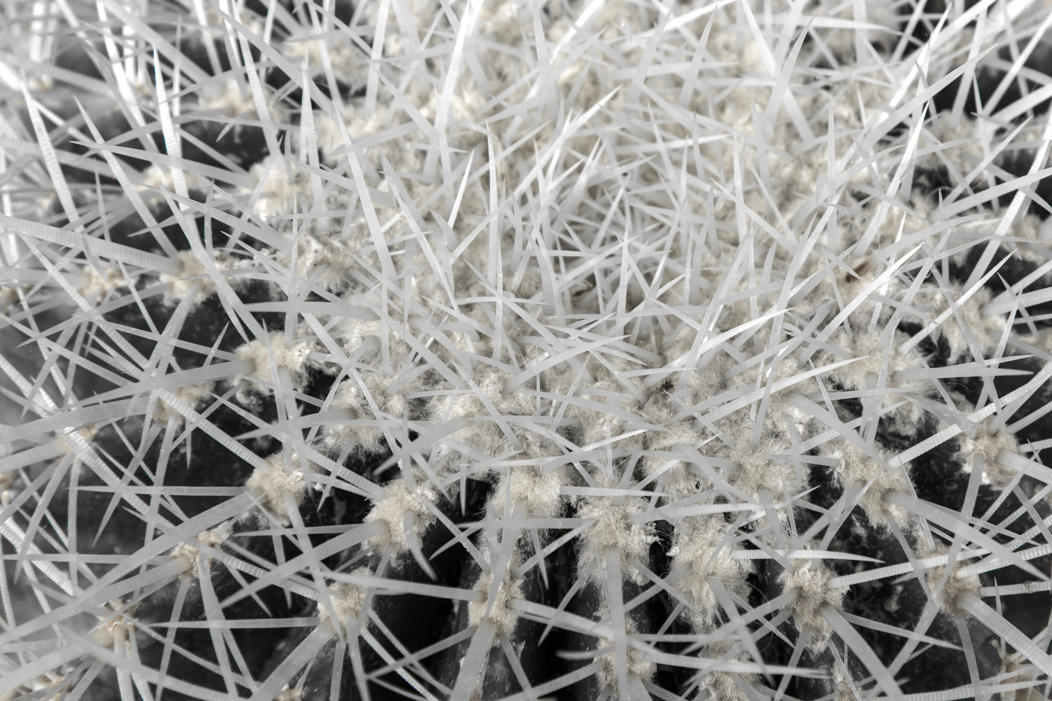 请设计一个实验在一直1：25：5的混凝土配合比下掺加不同比例的PP纤维PE纤维和AR纤维对混凝土的流动性和凝结时间有什么影响？并得出最优掺加纤维含量下可以进行3D打印的混凝土