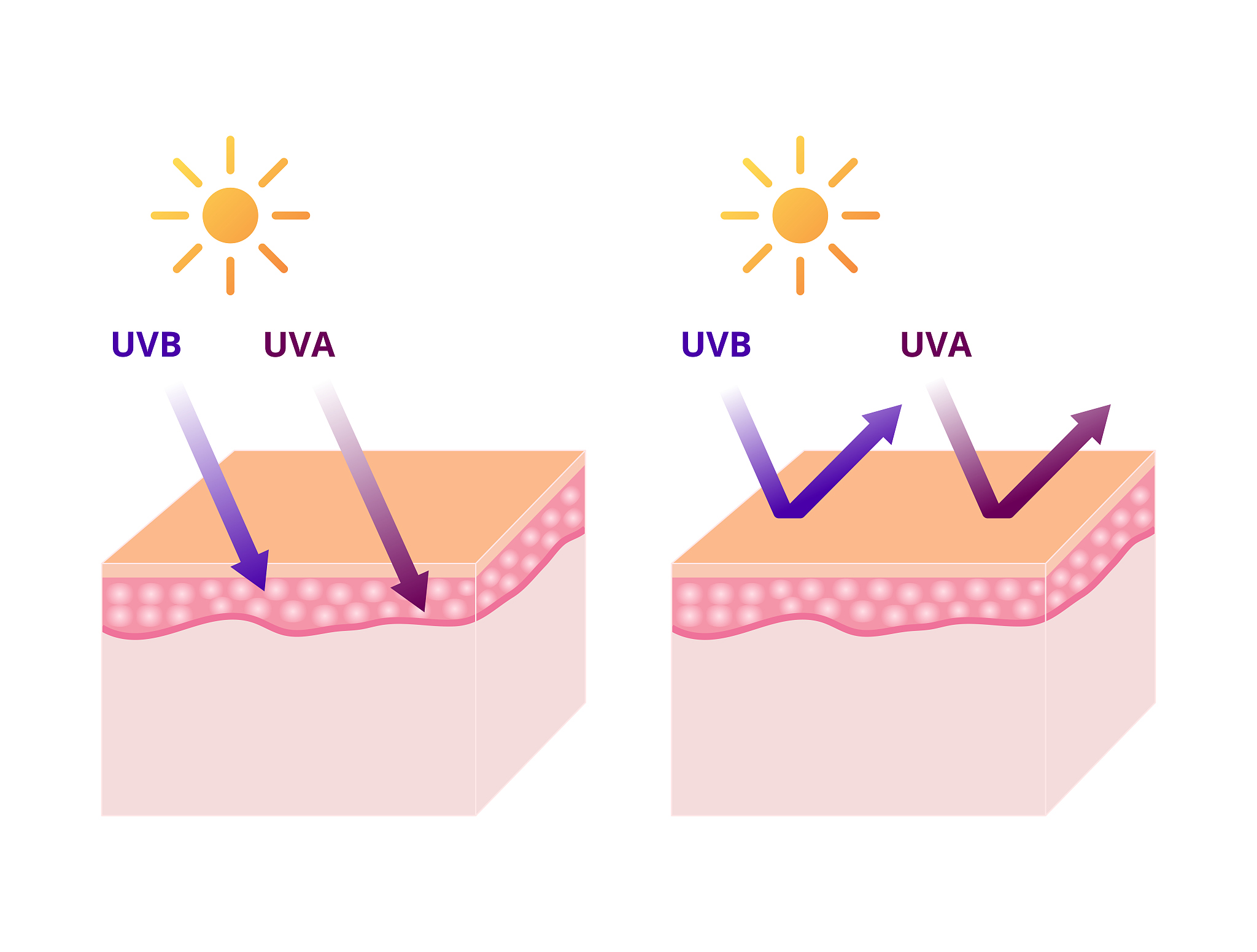 SPF50 防晒霜：解读防晒指数和保护皮肤的秘密