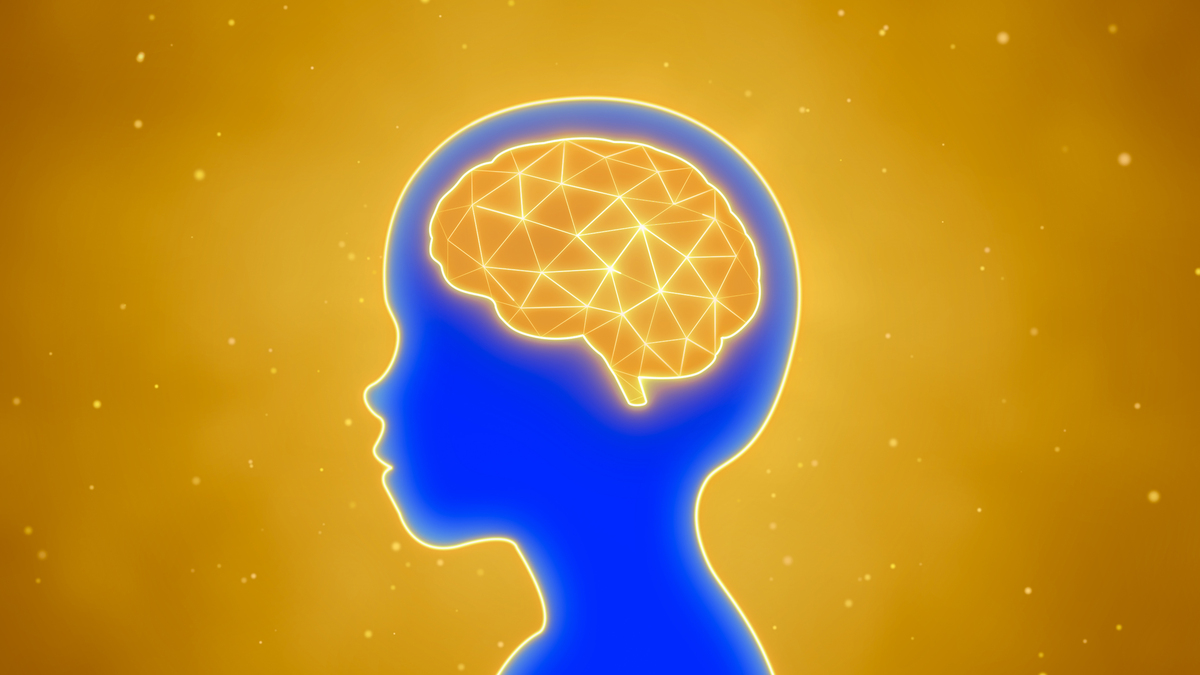 認知科学とは？定義、研究分野、応用事例を解説