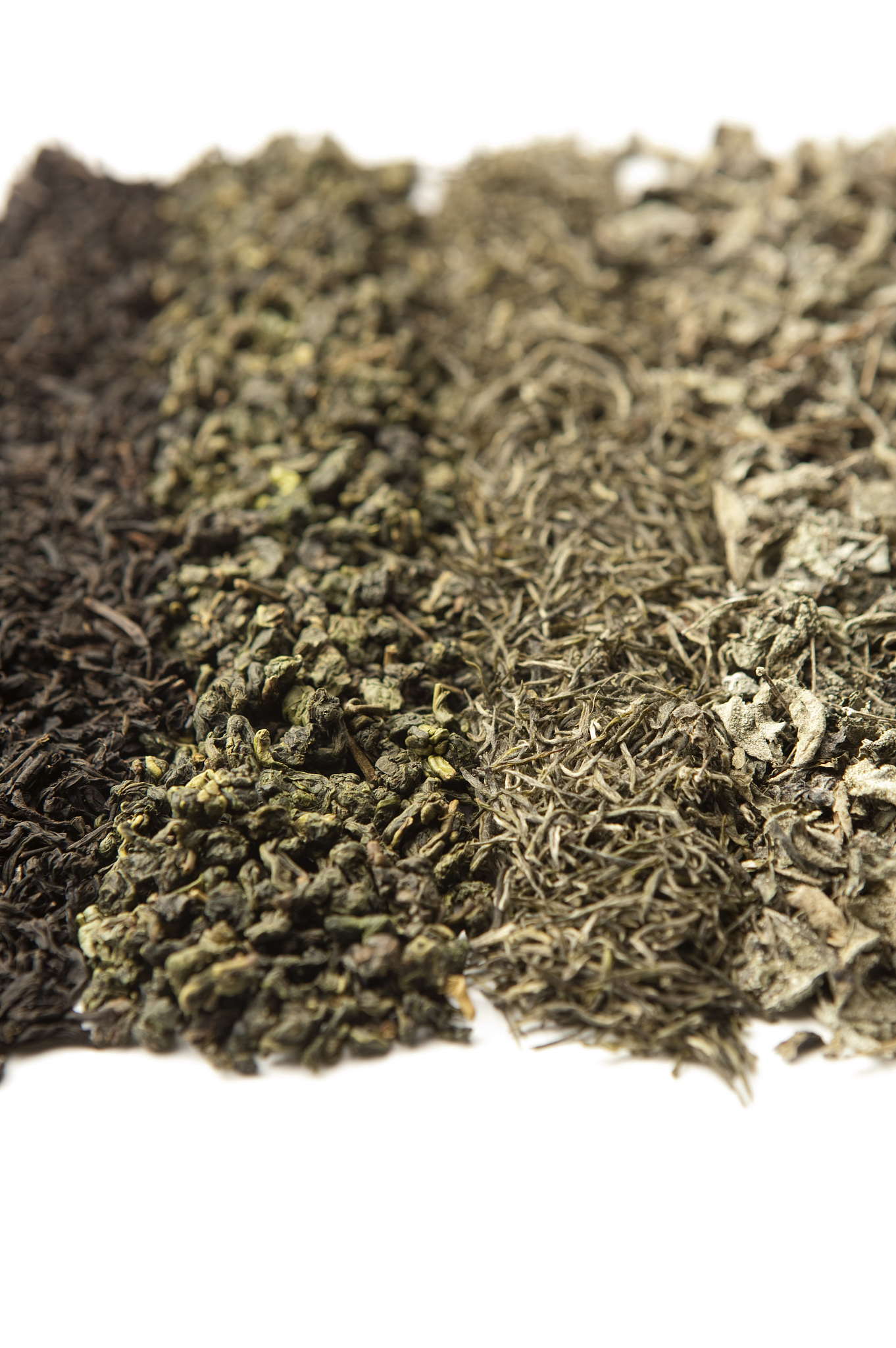 請幫我講解 茶的種類與製作方法