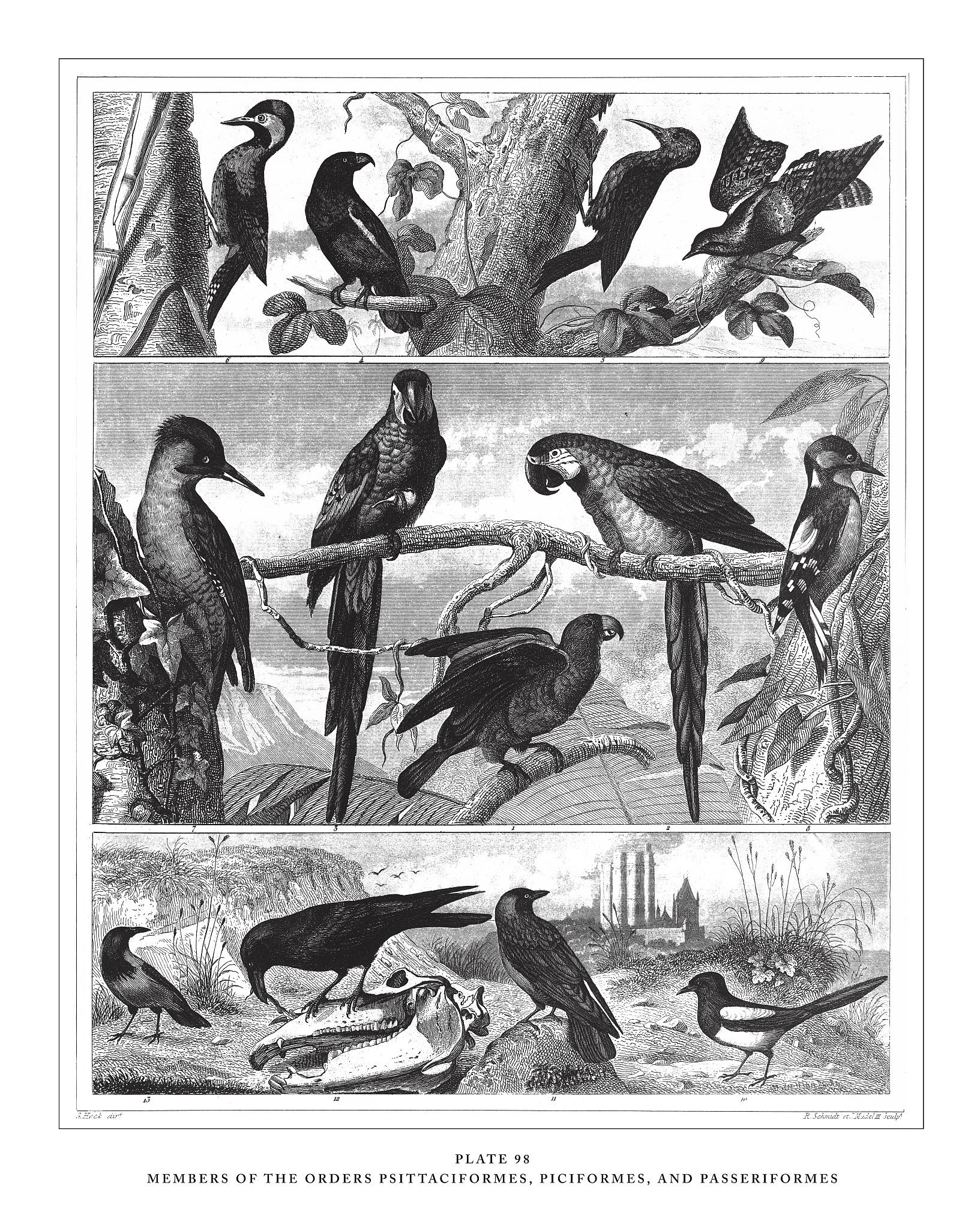 老人与海：圣地亚哥与马诺林的友谊和对美好事物的向往