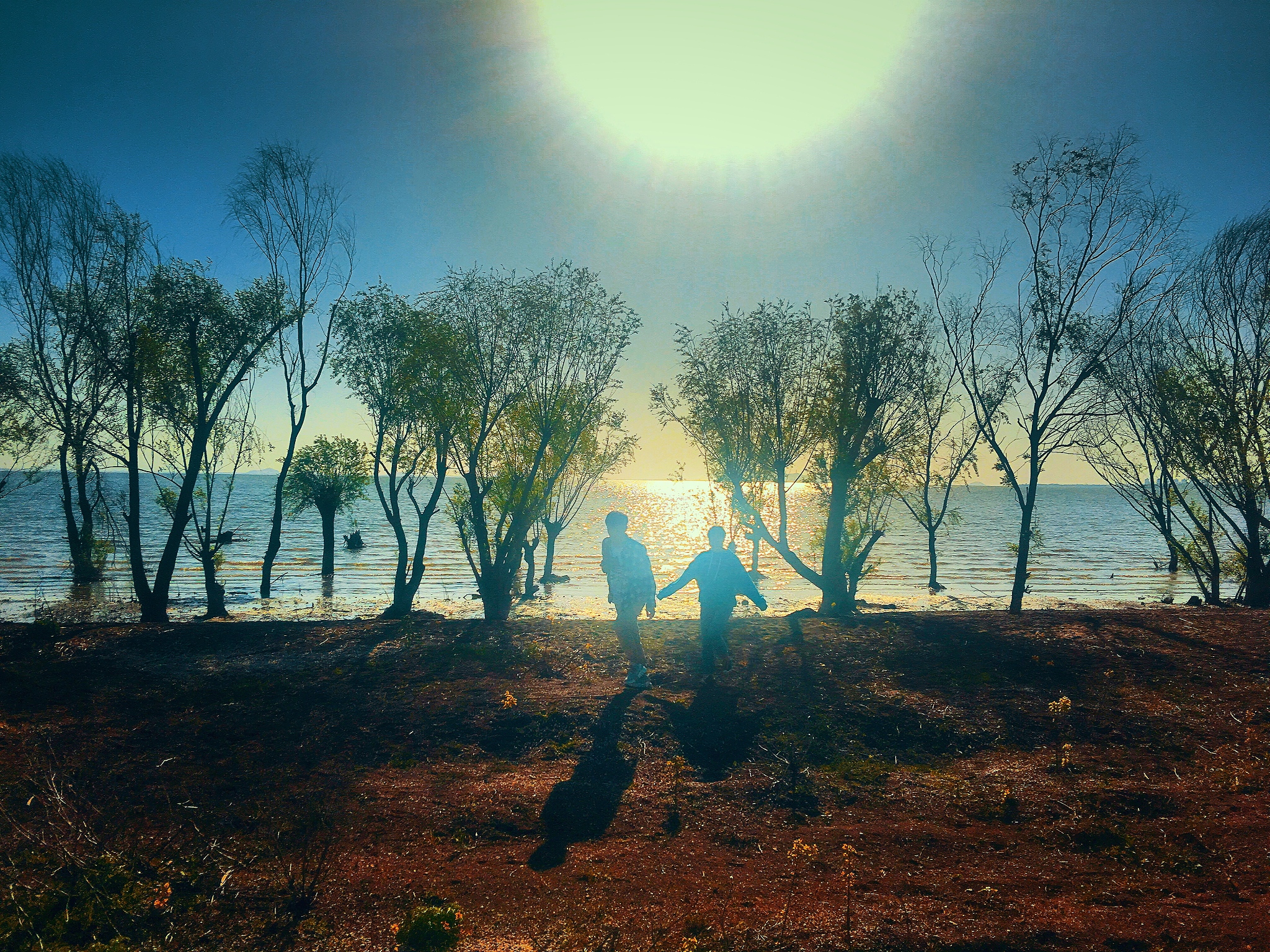 思乡作文：漂泊在外，心中依然牵挂故乡