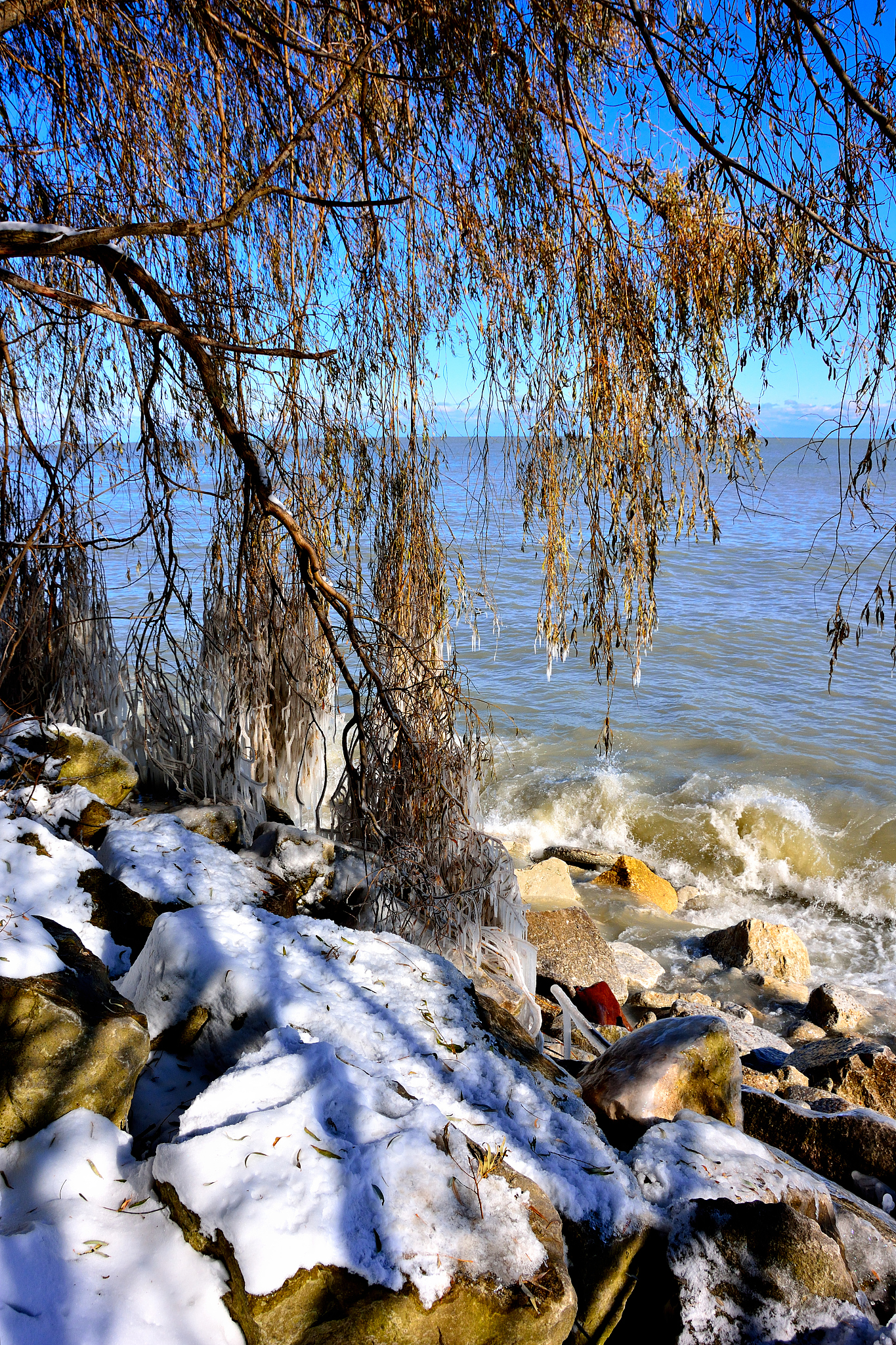 25 The weather near the Great Lakes is oftenA chillyC hot and dryB warmD cold and windy。以上选择题中ABCD四个选哪一个。并给出理由 请用中文
