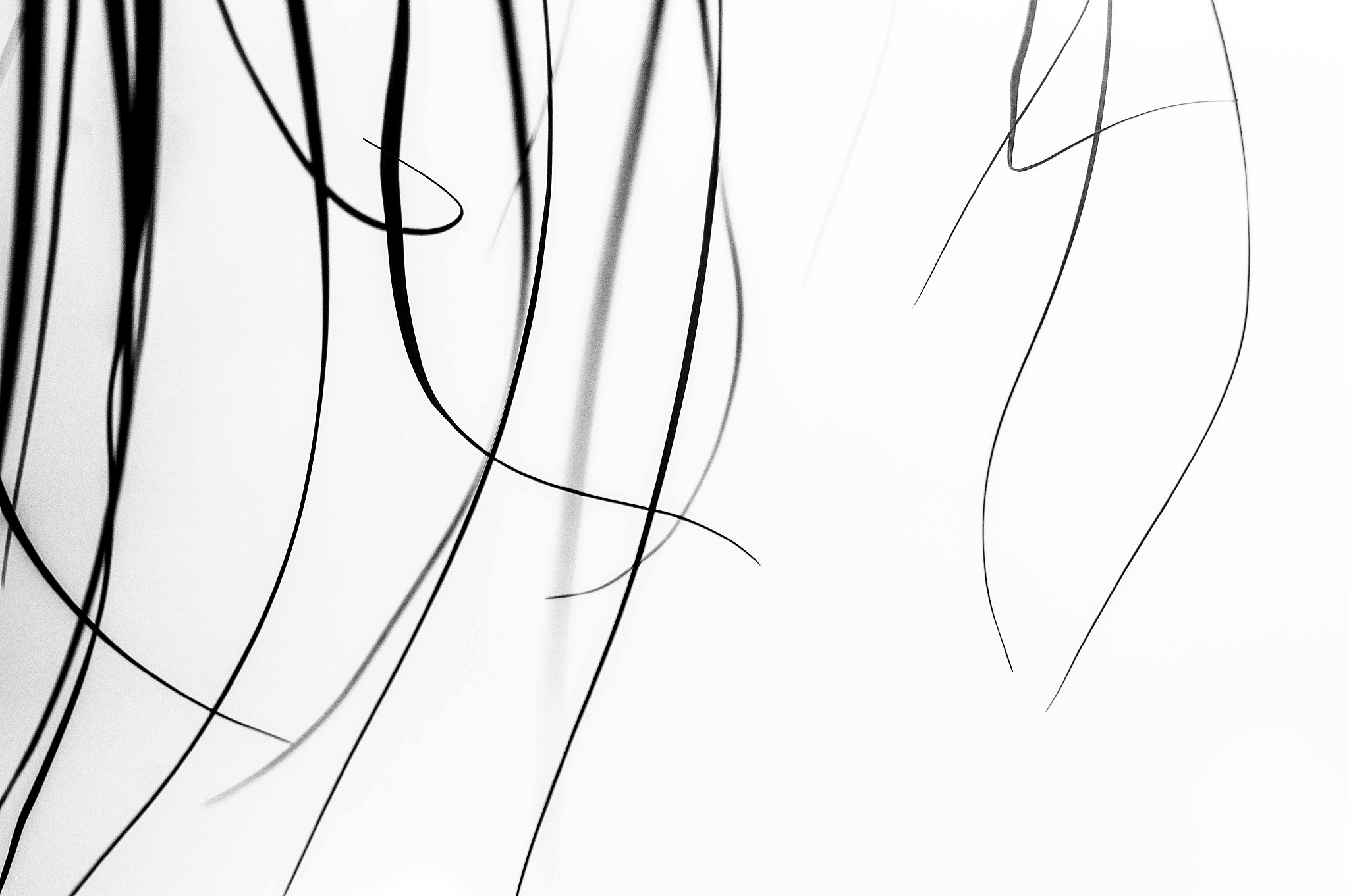 calligraphy grass