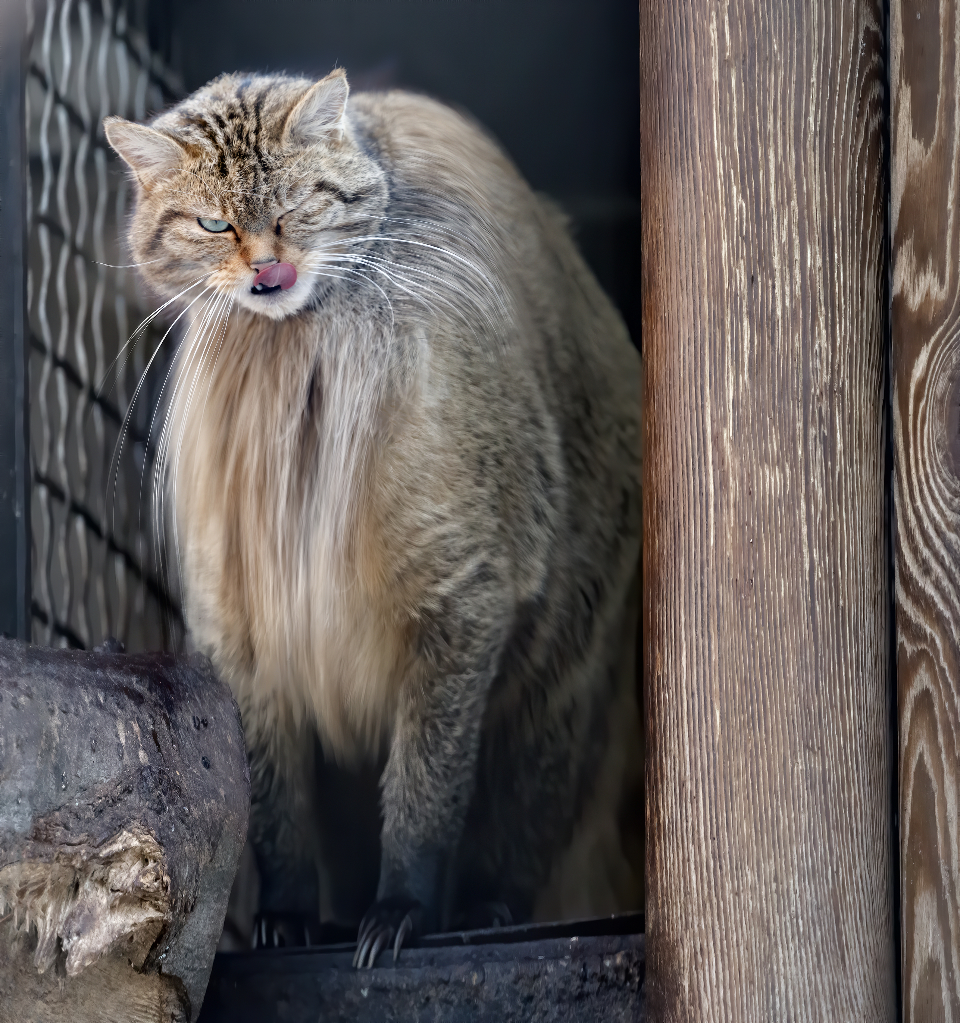上海市农业学校动物科学技术系简介