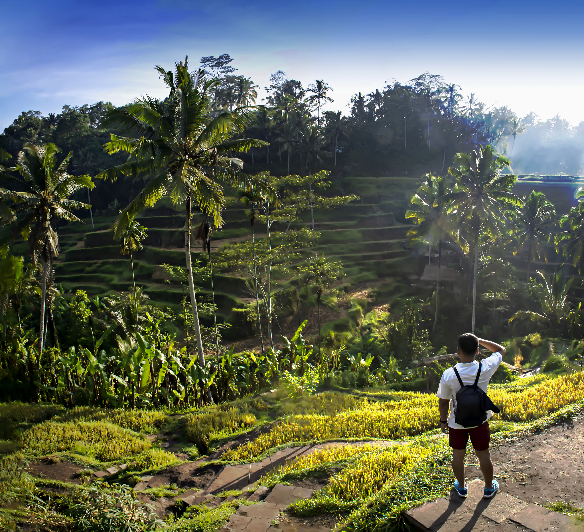 云南省曲靖市农业学校2019年五年制大专招生专业