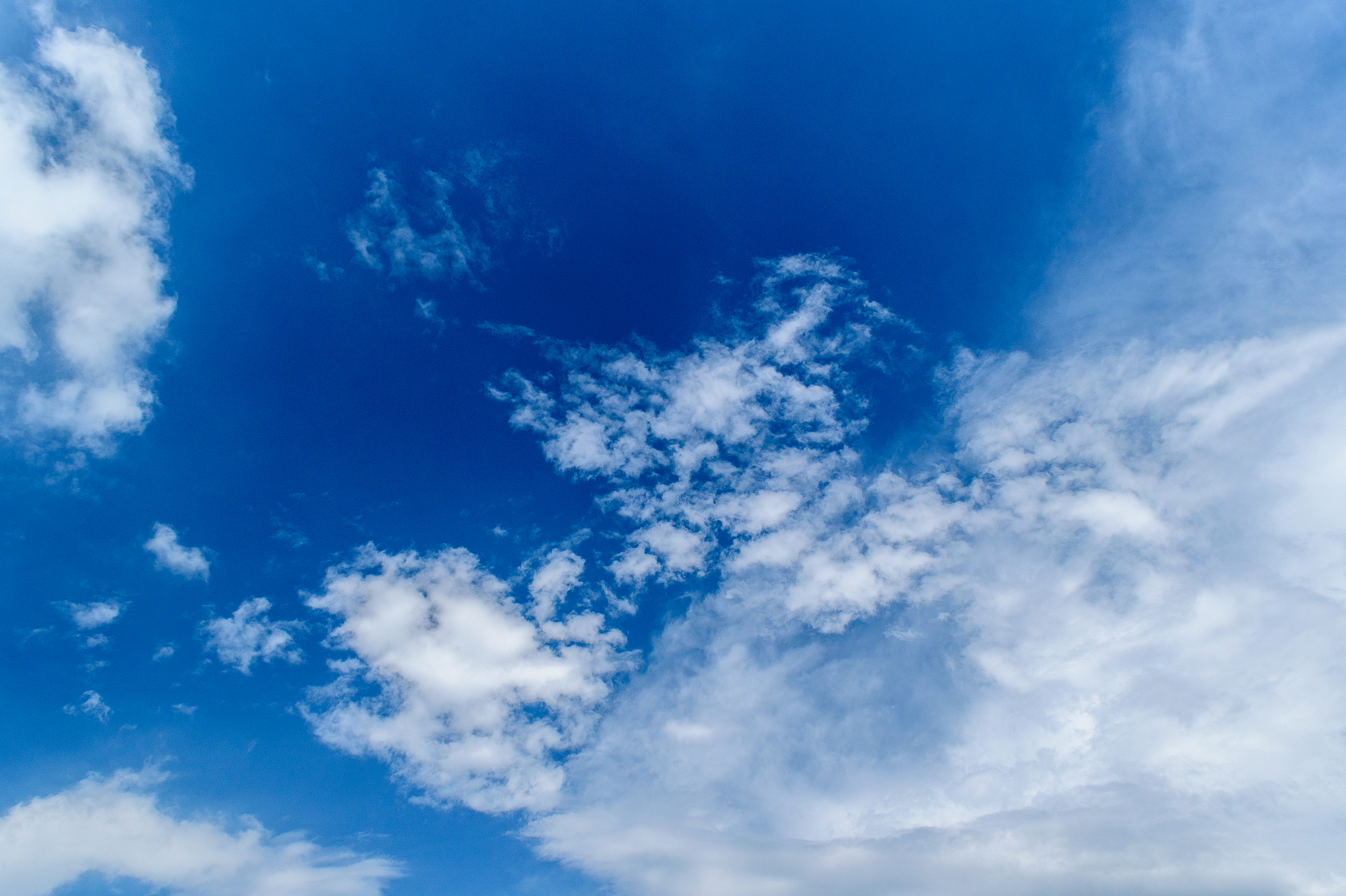 写出蓝天视频的软件介绍软件特色软件亮点软件优势软件测评