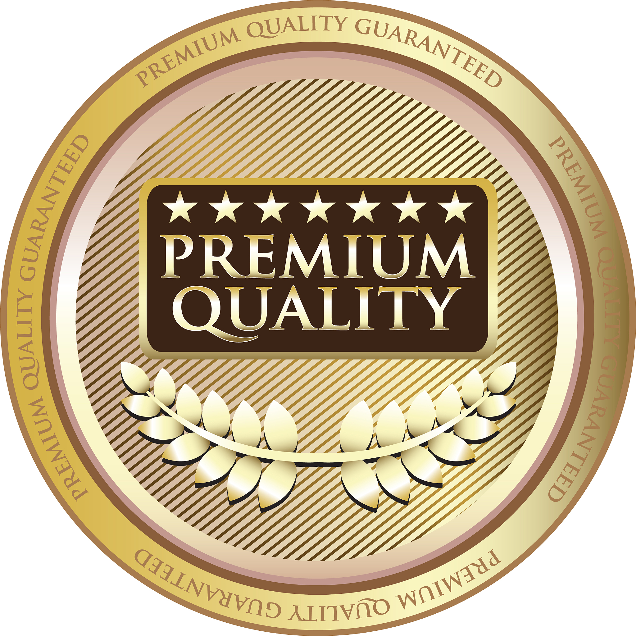 premium quality gold icon