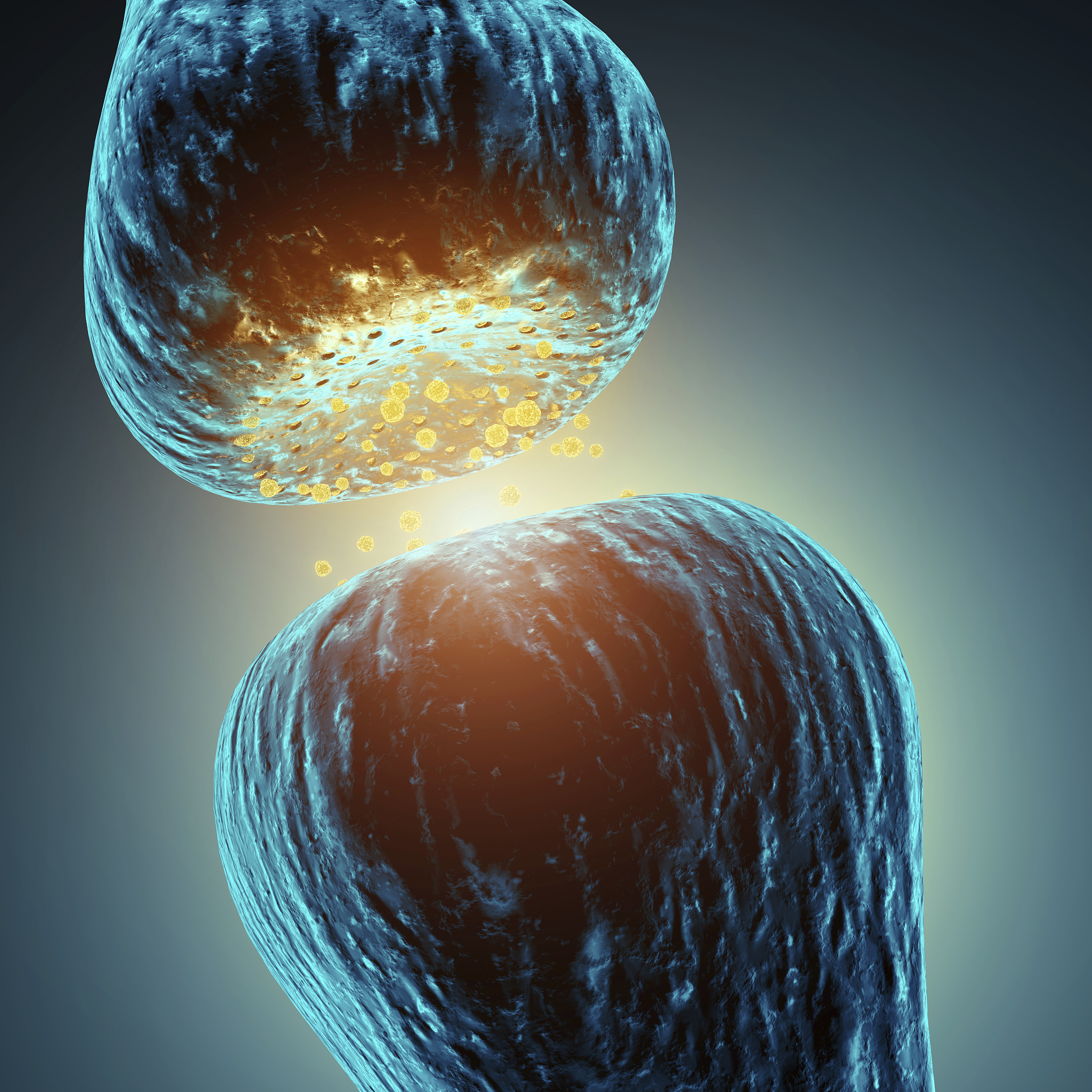 丽水学院临床医学专业课程设置详解