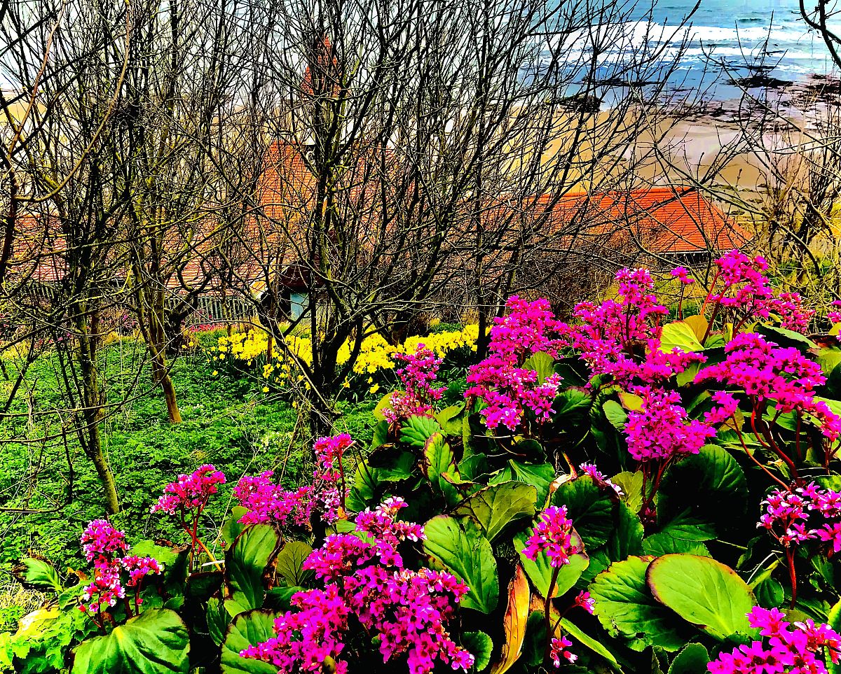 写一篇春天的英语短文