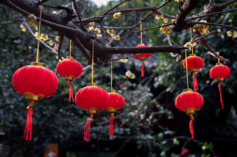 眉山工程技师学院招生办联系电话、地址 - 培养工程技术人才的理想选择