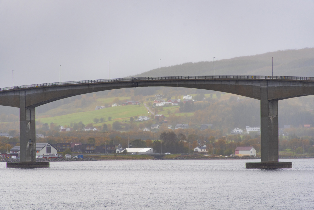 梁桥：结构优良、跨度大、成本低 | 桥梁类型概述