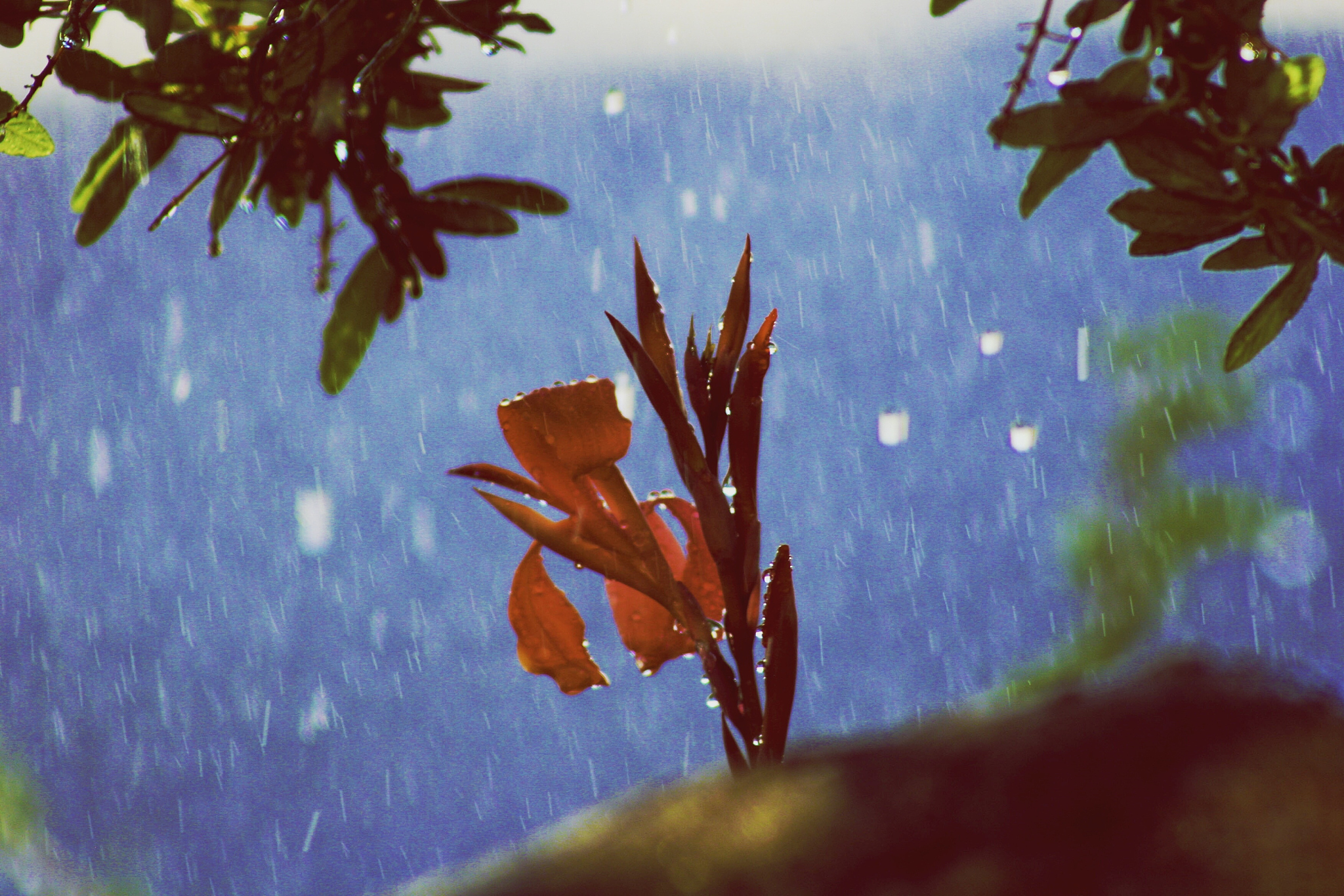 雨中诗意:写一首关于下雨的诗歌 雨中诗意:写一首关于下雨的诗歌