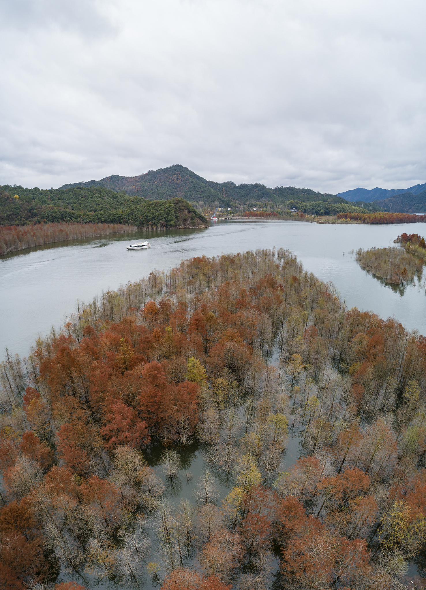 宣城媒体曝光平台大全：求助热线及解决方案