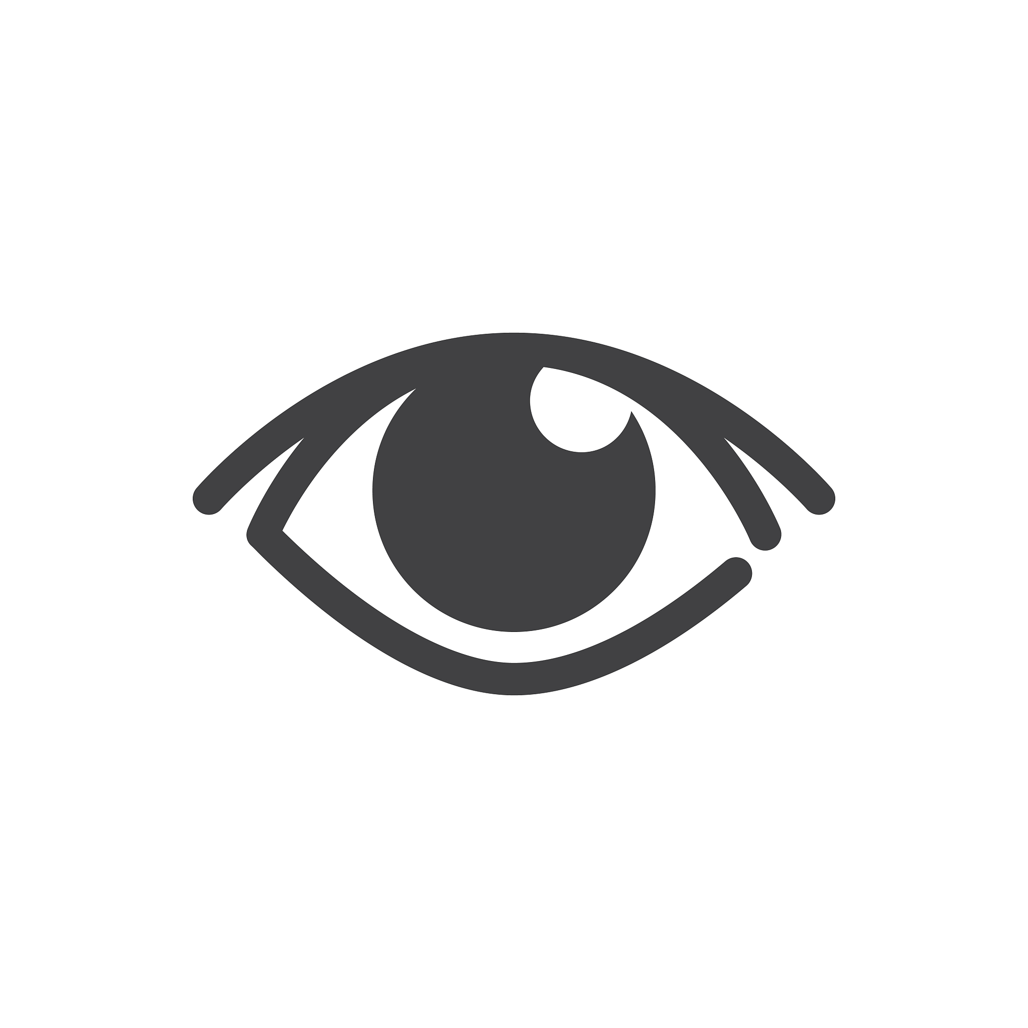 eye icon