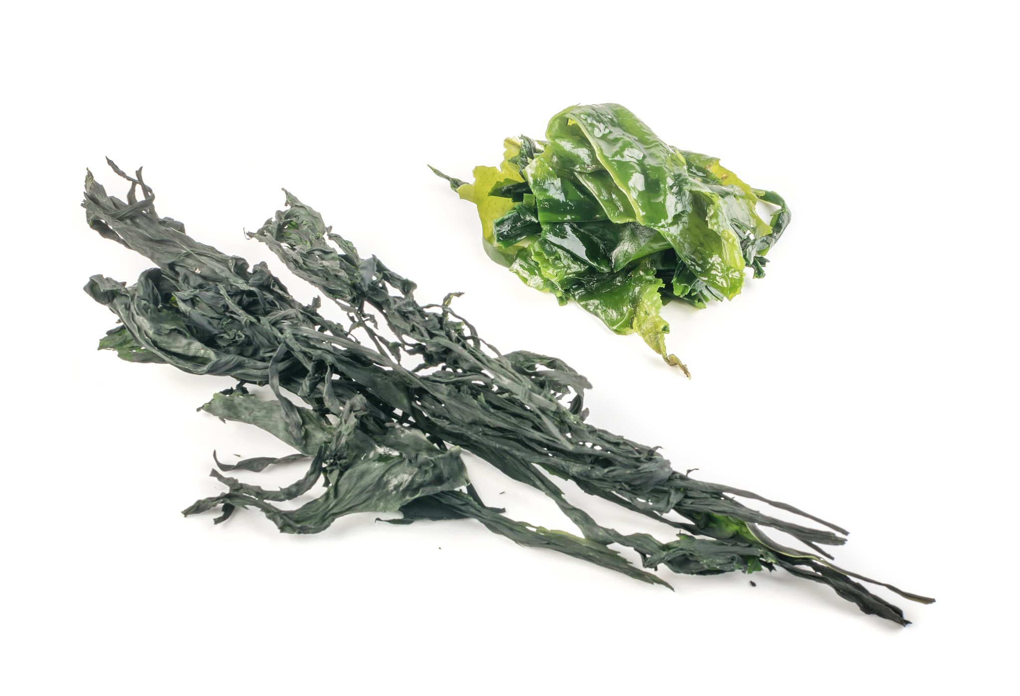 海草冻功效与作用：营养丰富，健康美味！