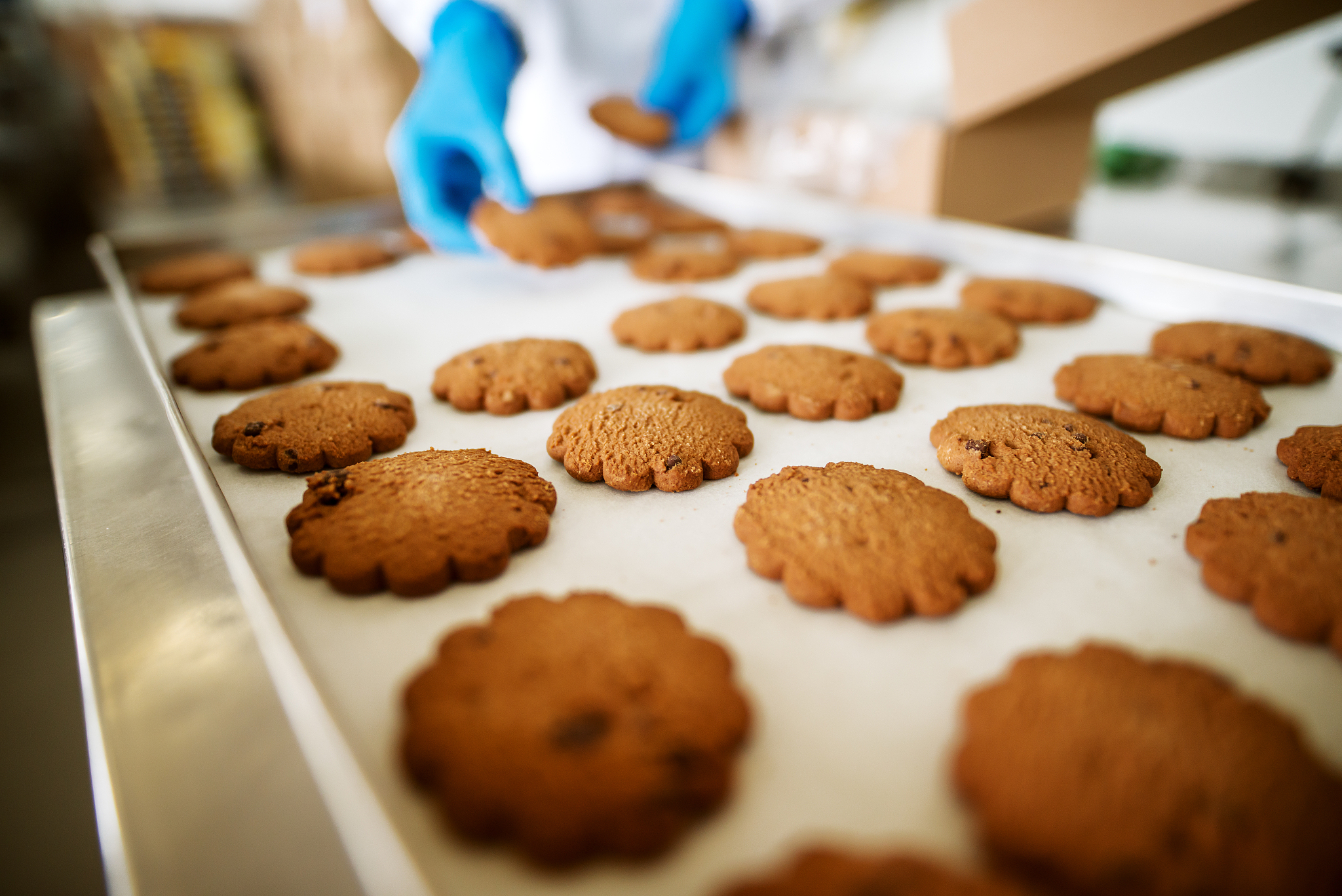 山西开设食品加工专业的中专中职学校有哪些