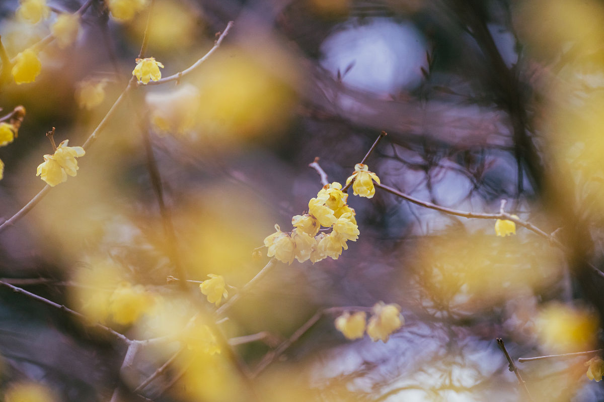 乐至县高级职业中学2022年招生简章