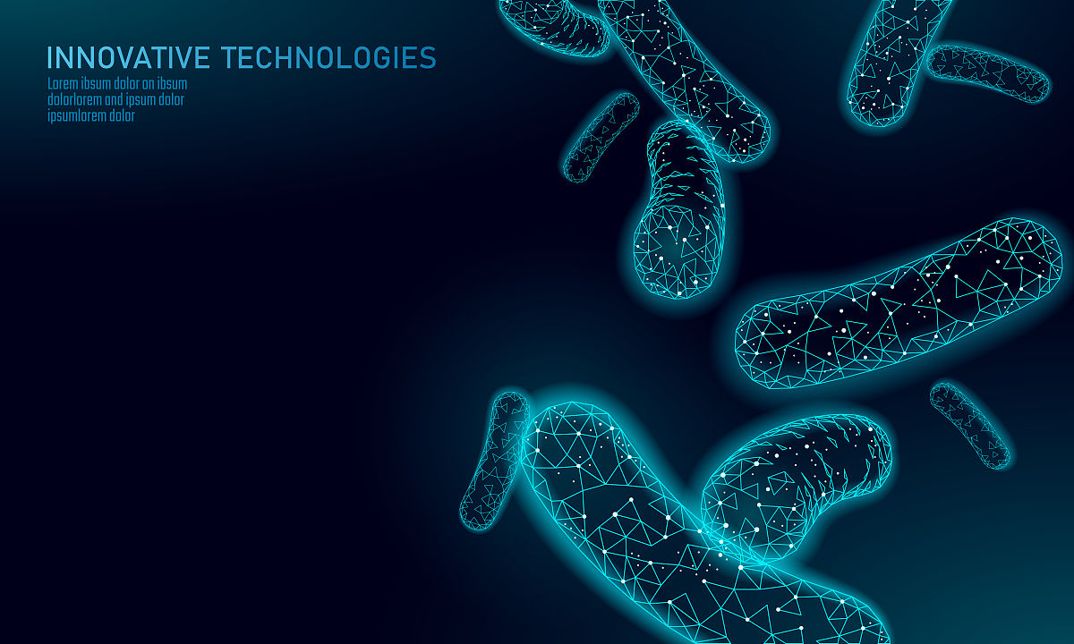 厚壁菌门和拟杆菌门比例：解读肠道菌群结构与组成