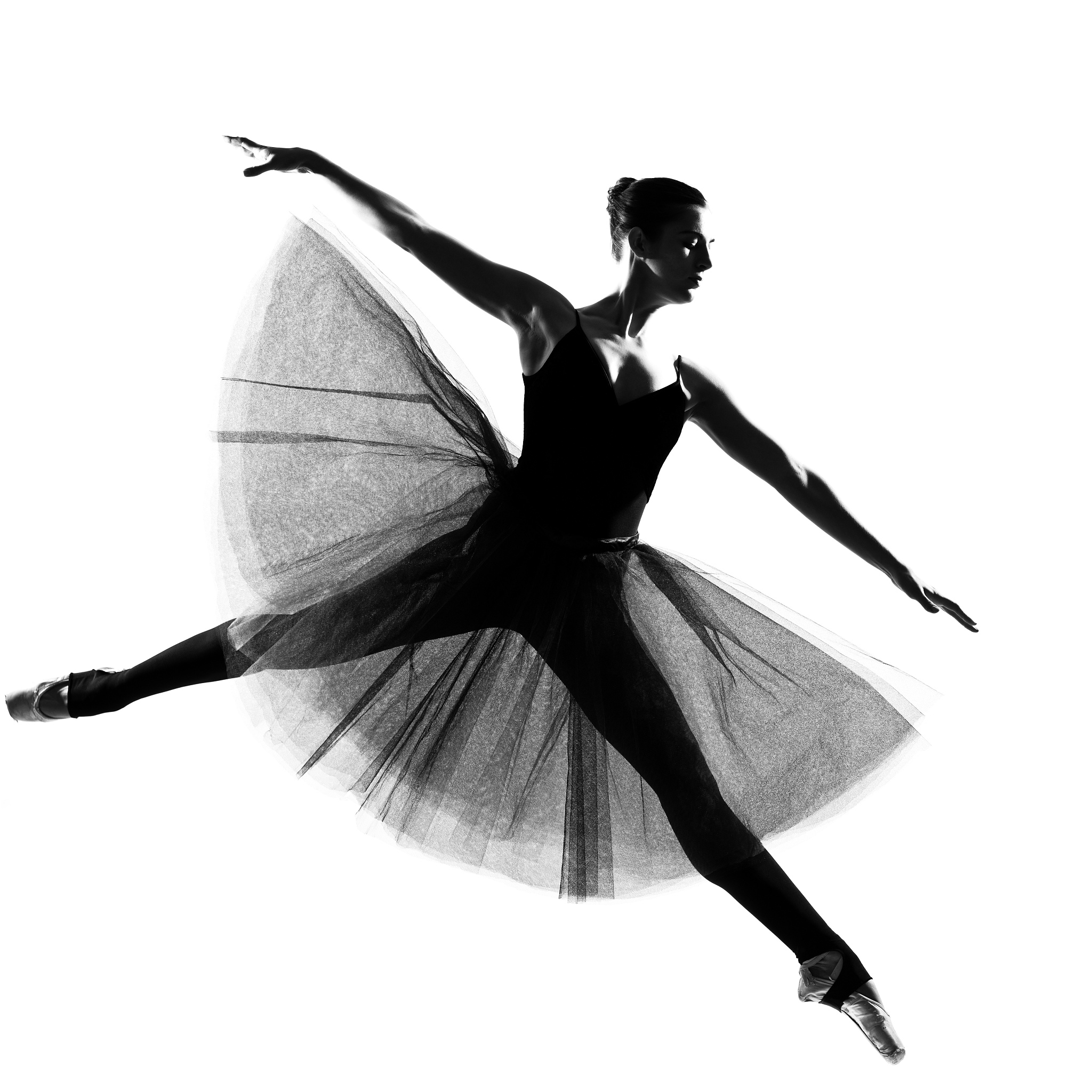 黑白天鹅舞蹈：精湛的表现手法与对比