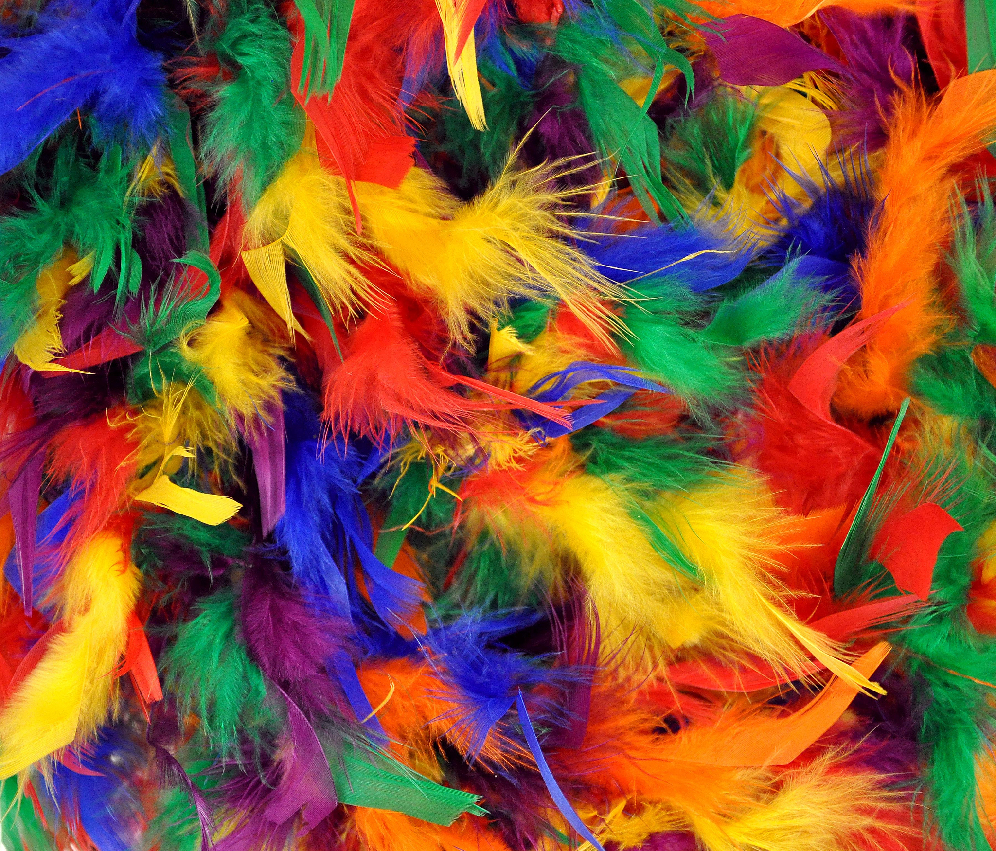 猫咪和蚂蚁的睡前故事