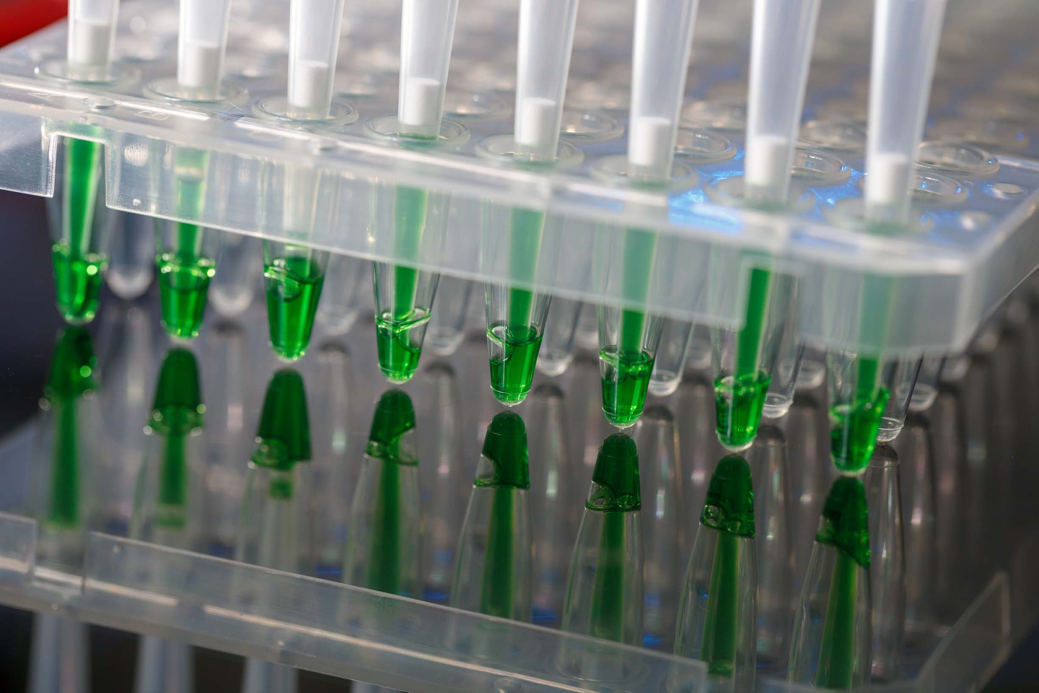 3个简单的生物化学实验：蛋白质浓度、DNA电泳和酶动力学