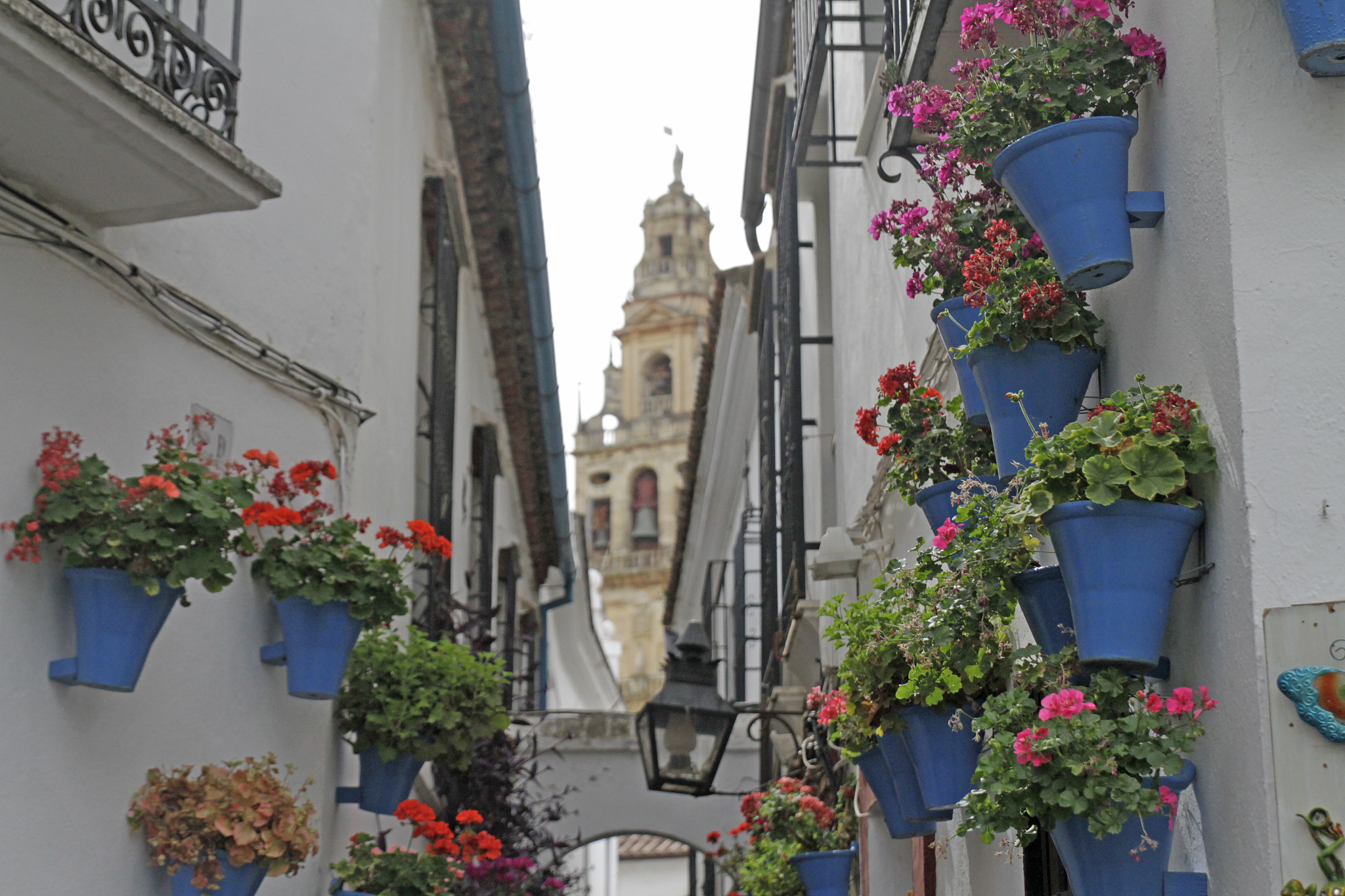 street of flowers, cordoba, spain