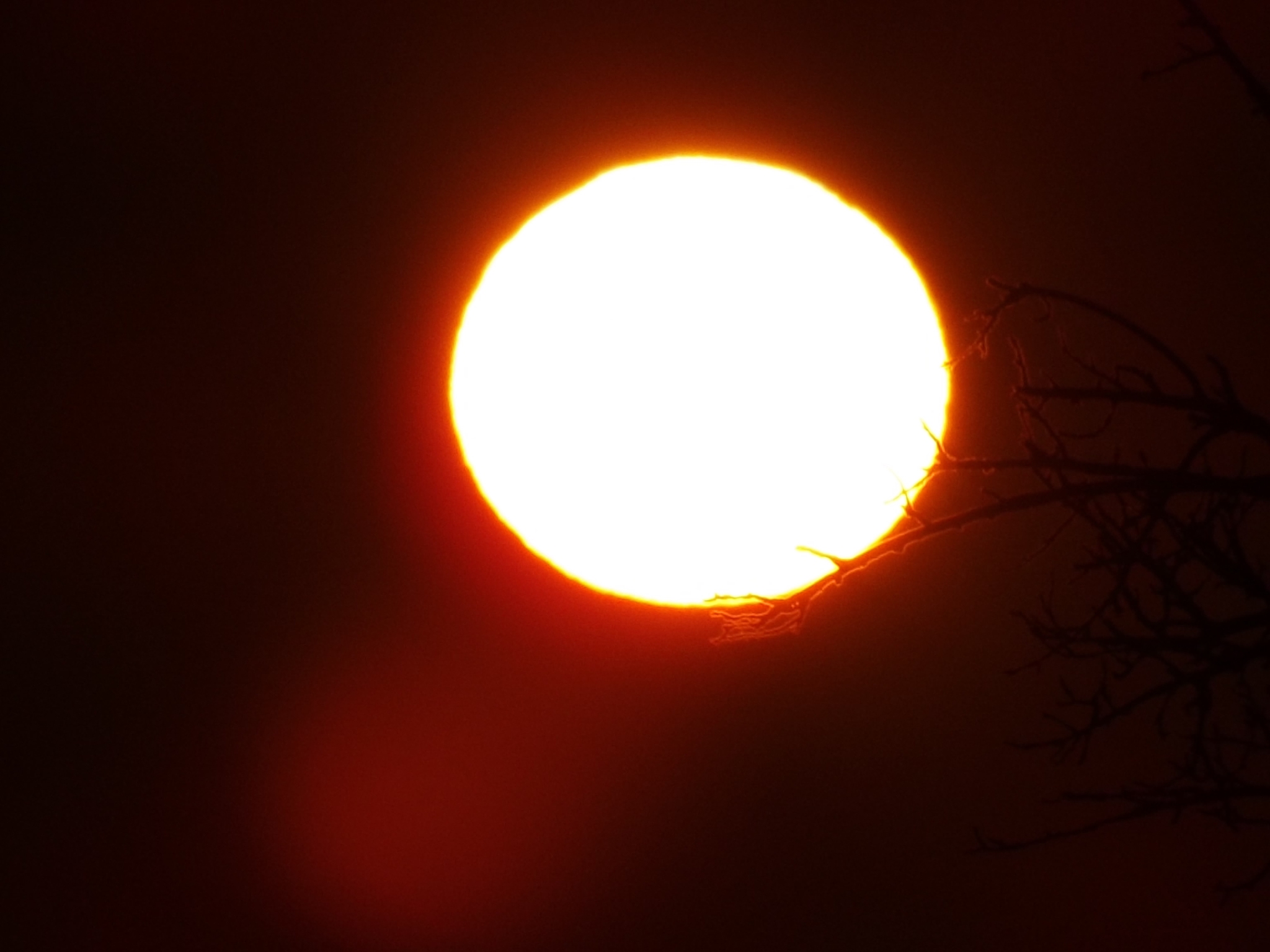 sun rise
